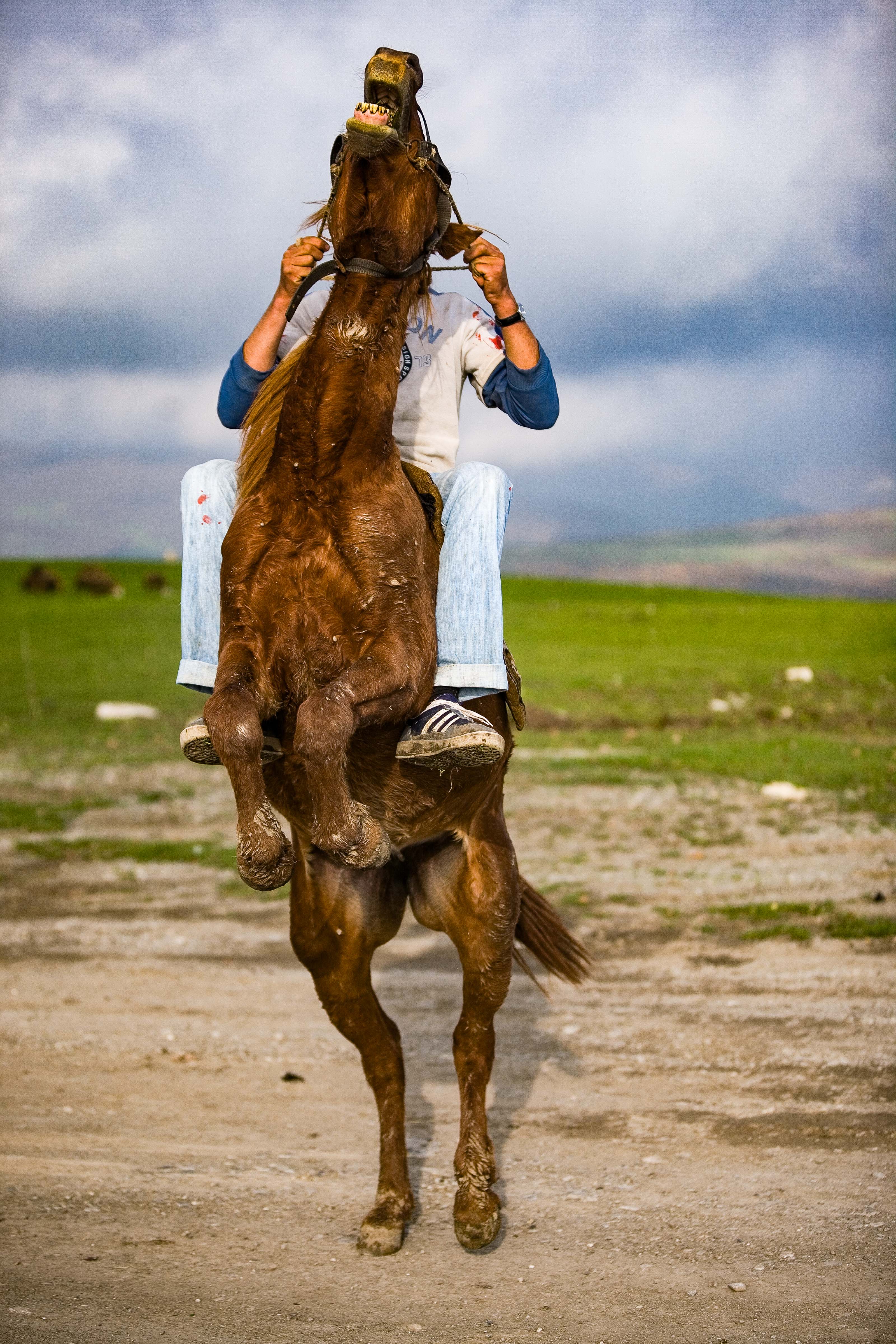 Azerbaijan, Ismayilli Prov, Horse Rearing Head, 2009, IMG 8109