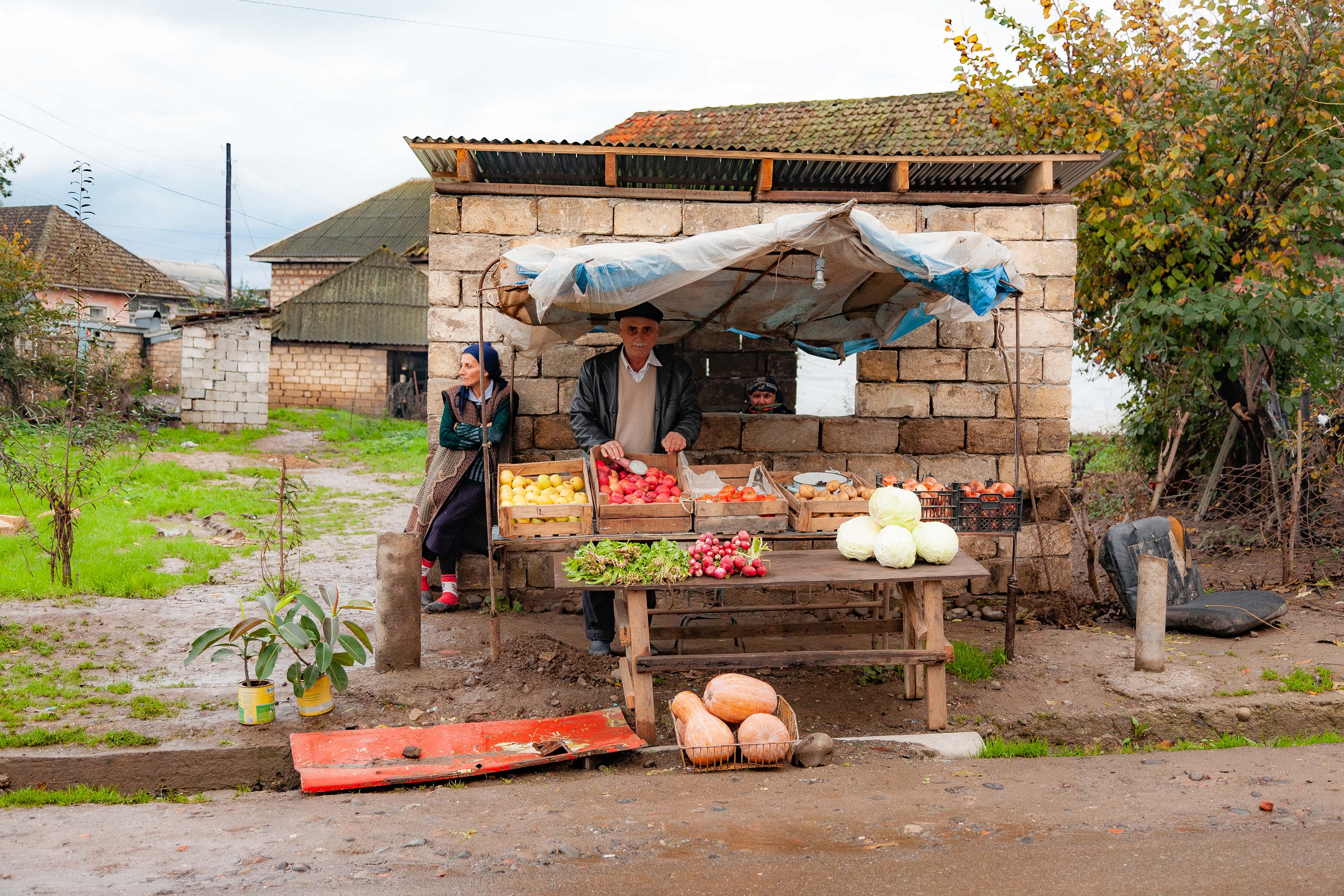 Azerbaijan, Masalli Prov, Fruit Stand, 2009, IMG 9683