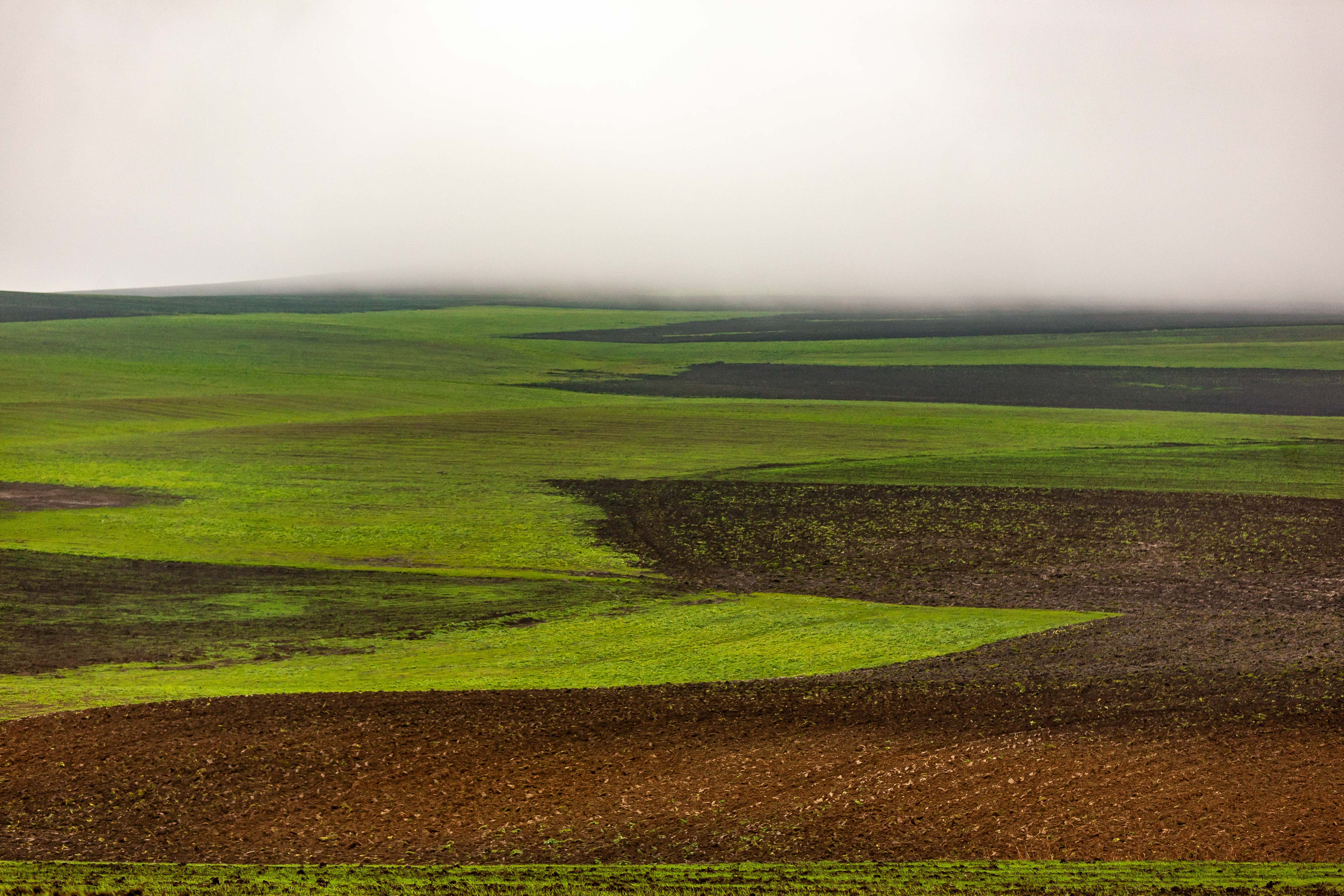 Azerbaijan, Oguz Prov, Fields, 2009, IMG 8475