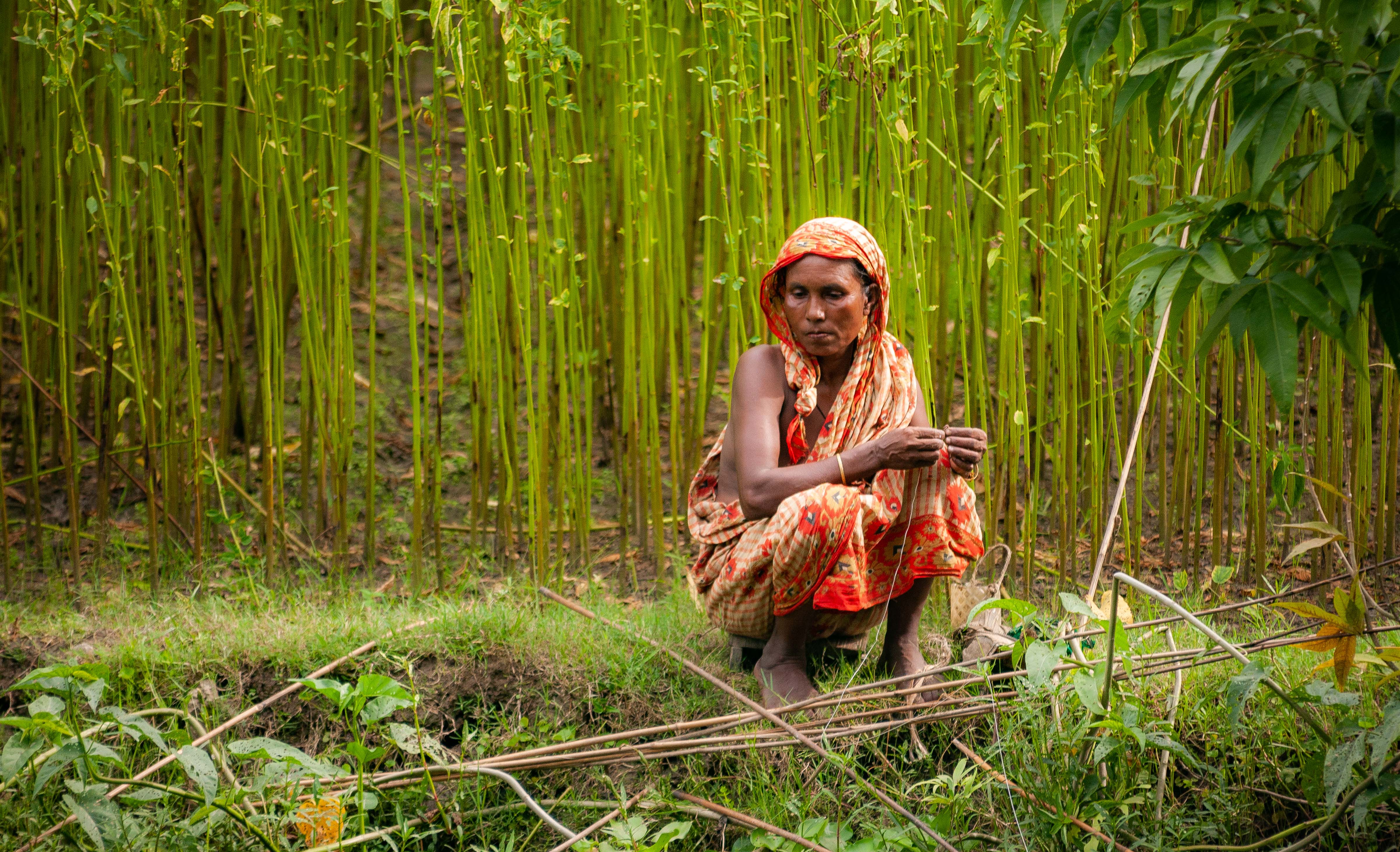 Bangladesh, Habiganj Prov, Field worker, 2009, IMG 8460