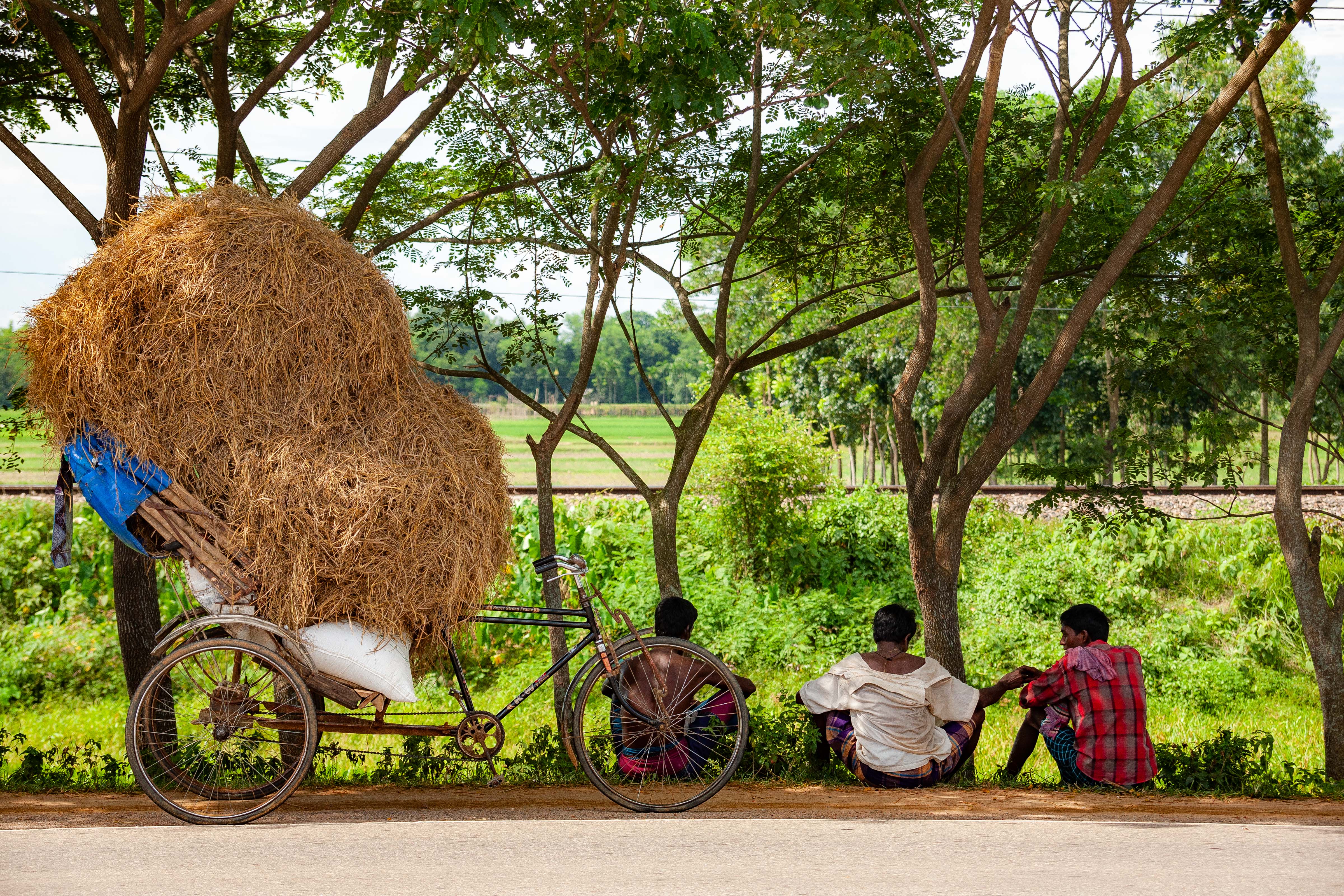 Bangladesh, Habiganj Prov, Men Resting Roadside, 2009, IMG 8400