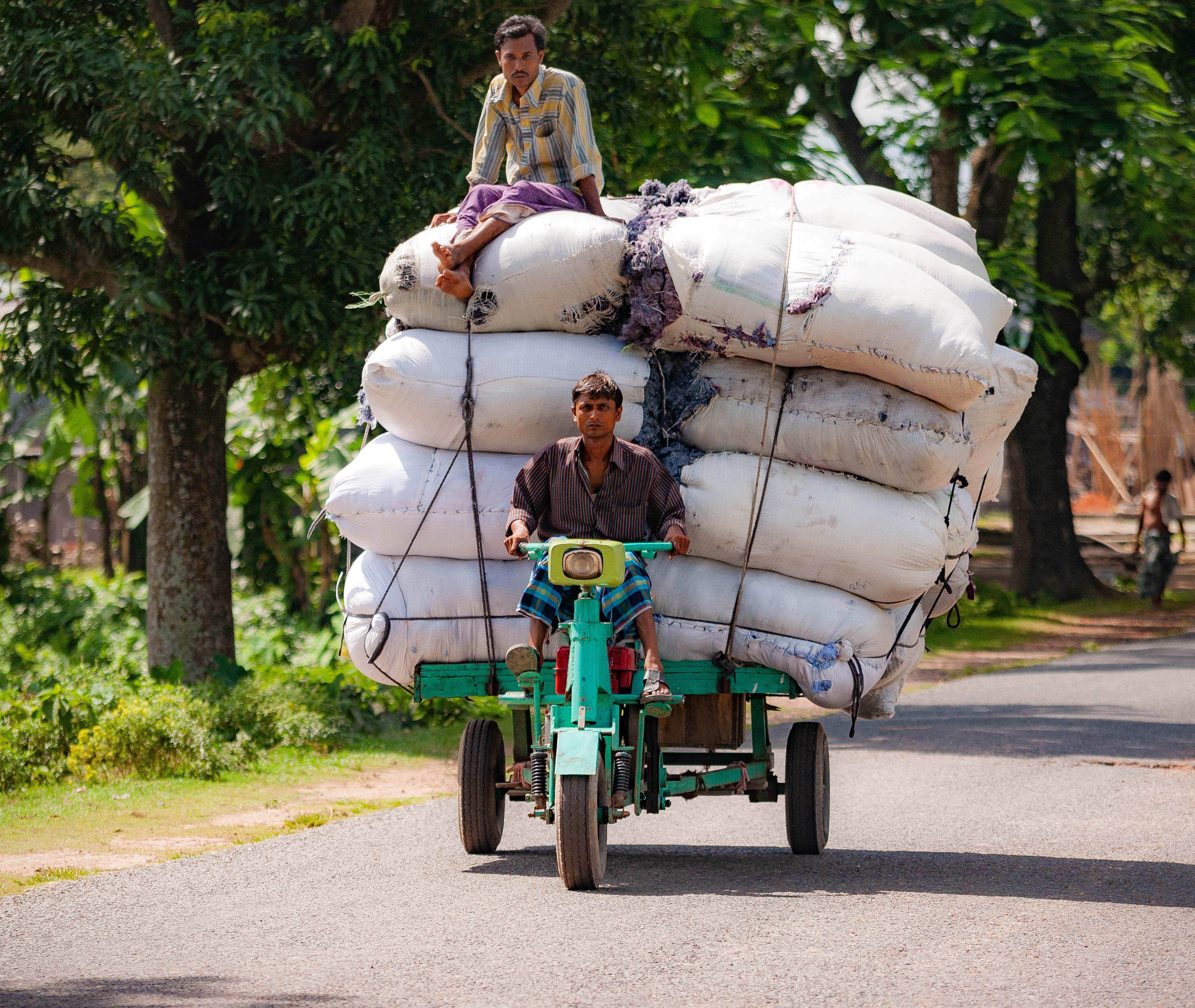 Bangladesh, Kishorenganj Prov, Full Load Cart, 2009, IMG 8702