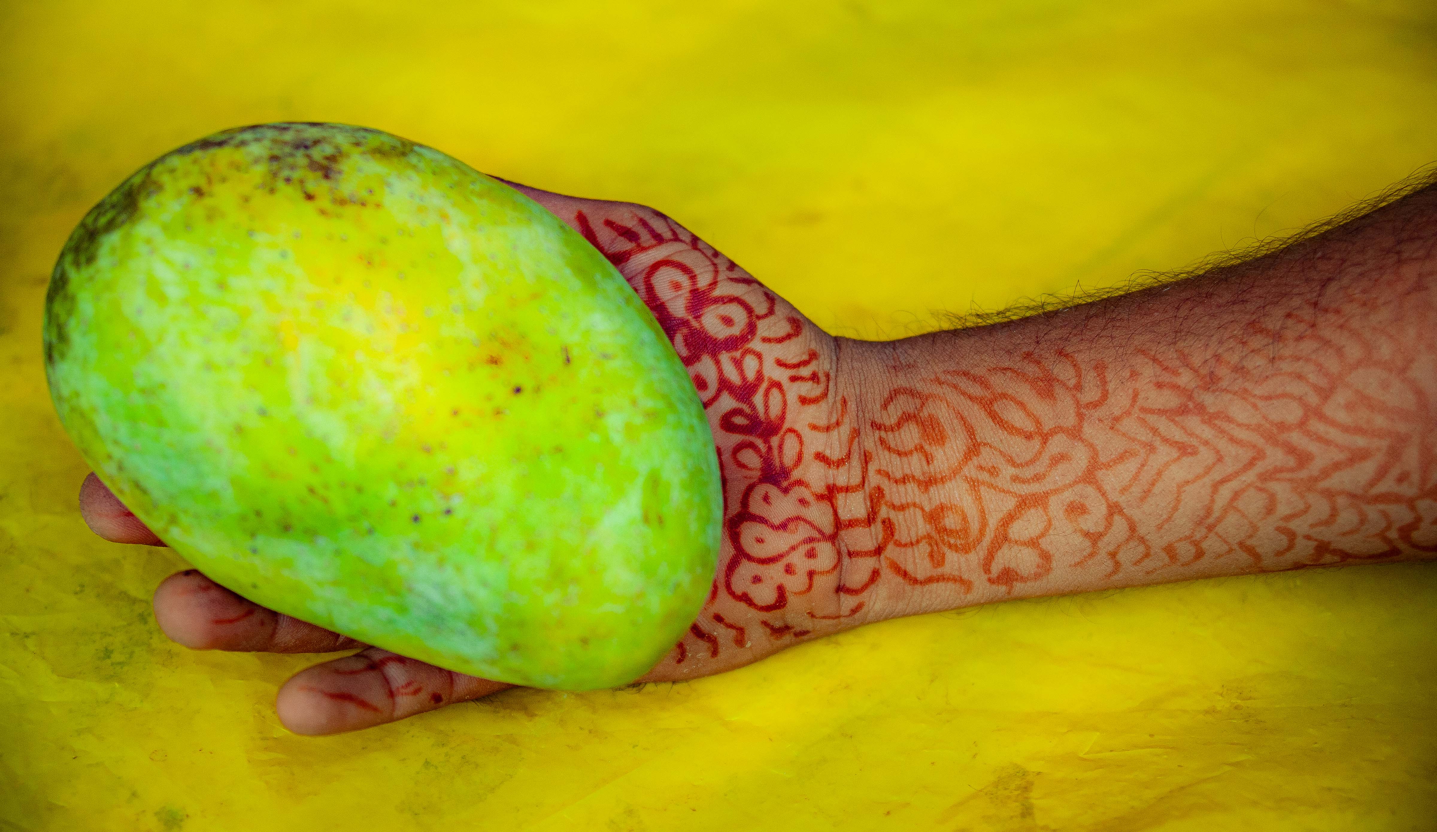 Bangladesh, Kishorenganj Prov, Henna Hand, 2009, IMG 8671