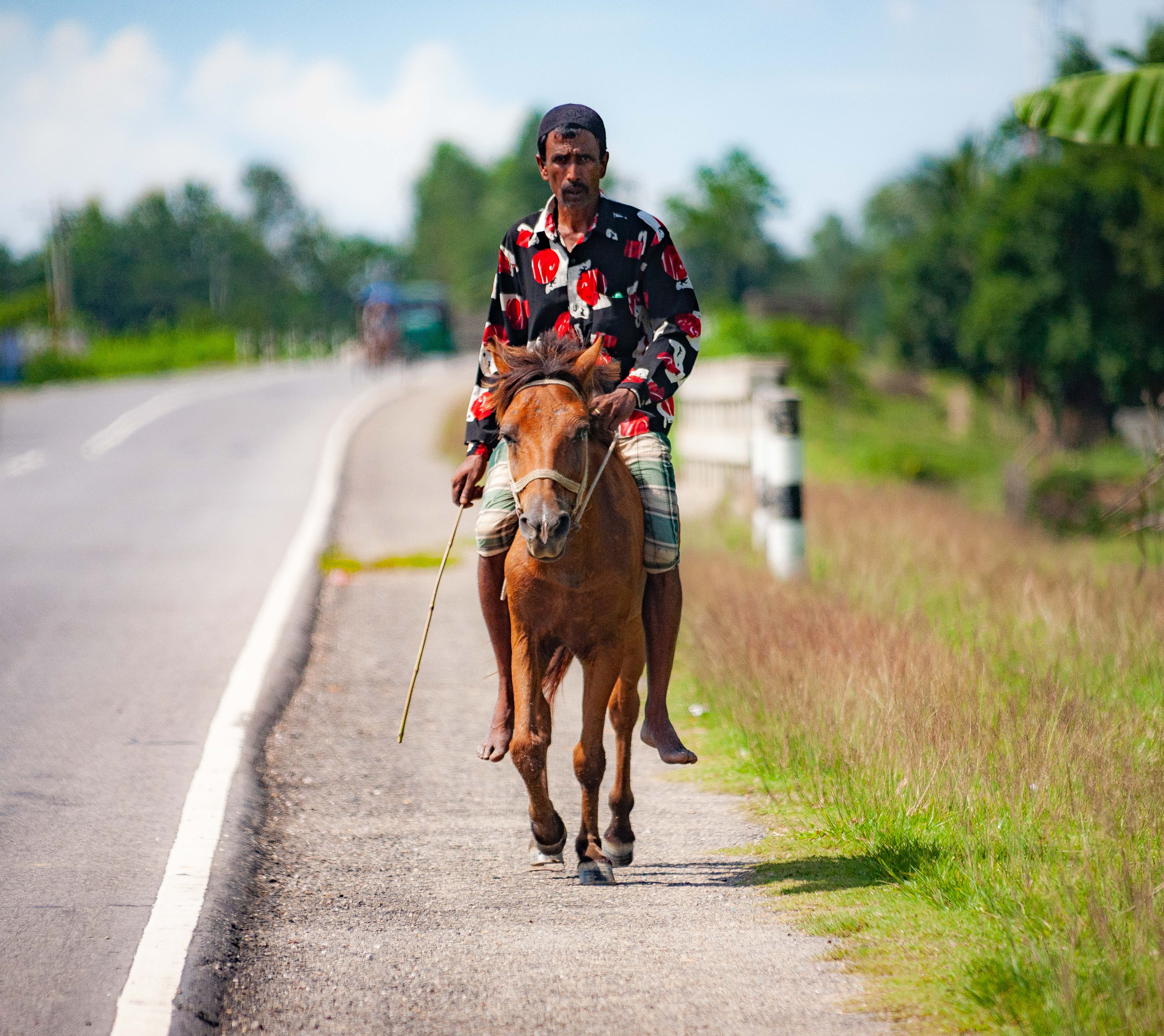 Bangladesh, Moulvibazar Prov, Man HorseBack, 2009, IMG 8392