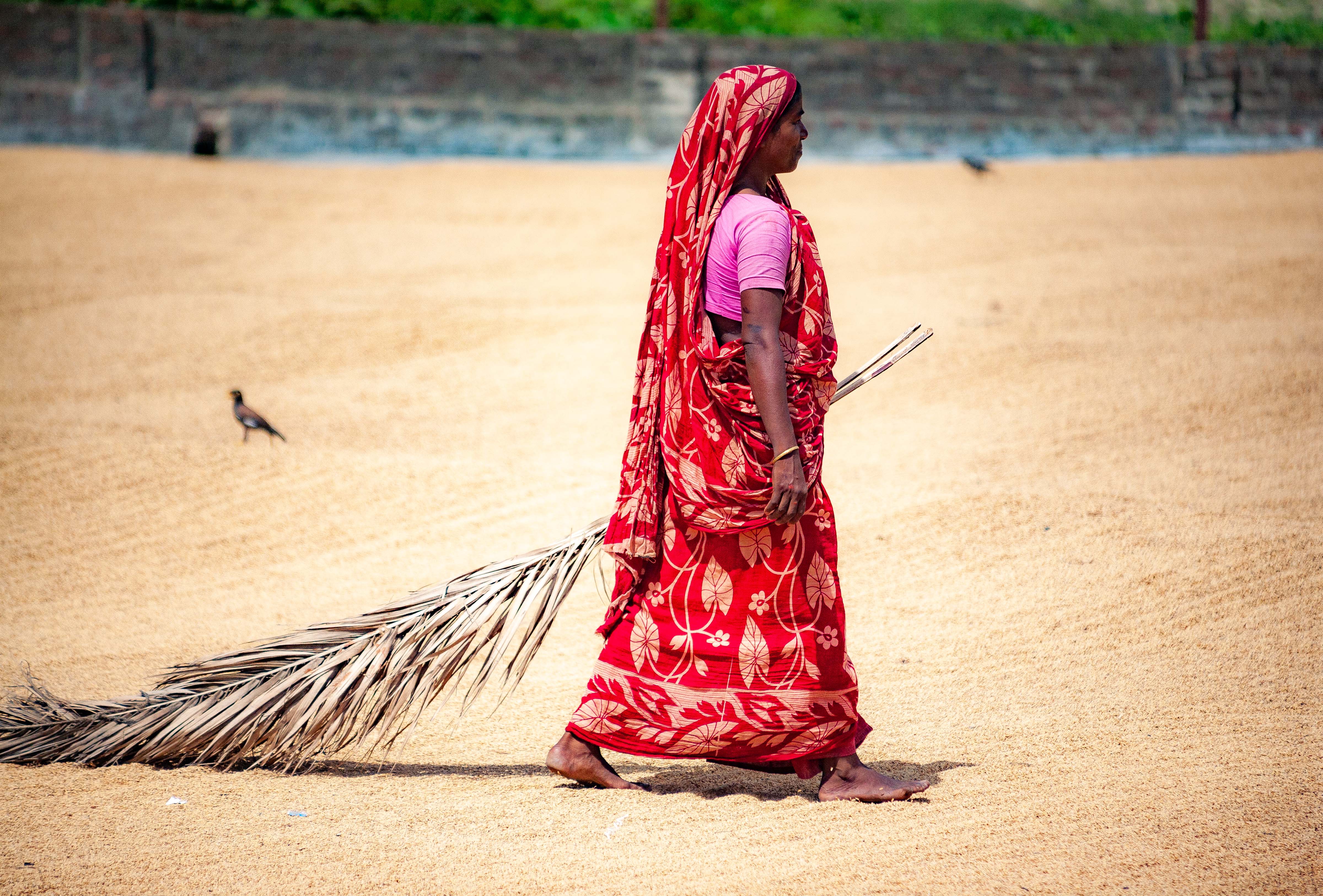 Bangladesh, Sirajganj Prov, Girl Walking Palm, 2009, IMG 8992