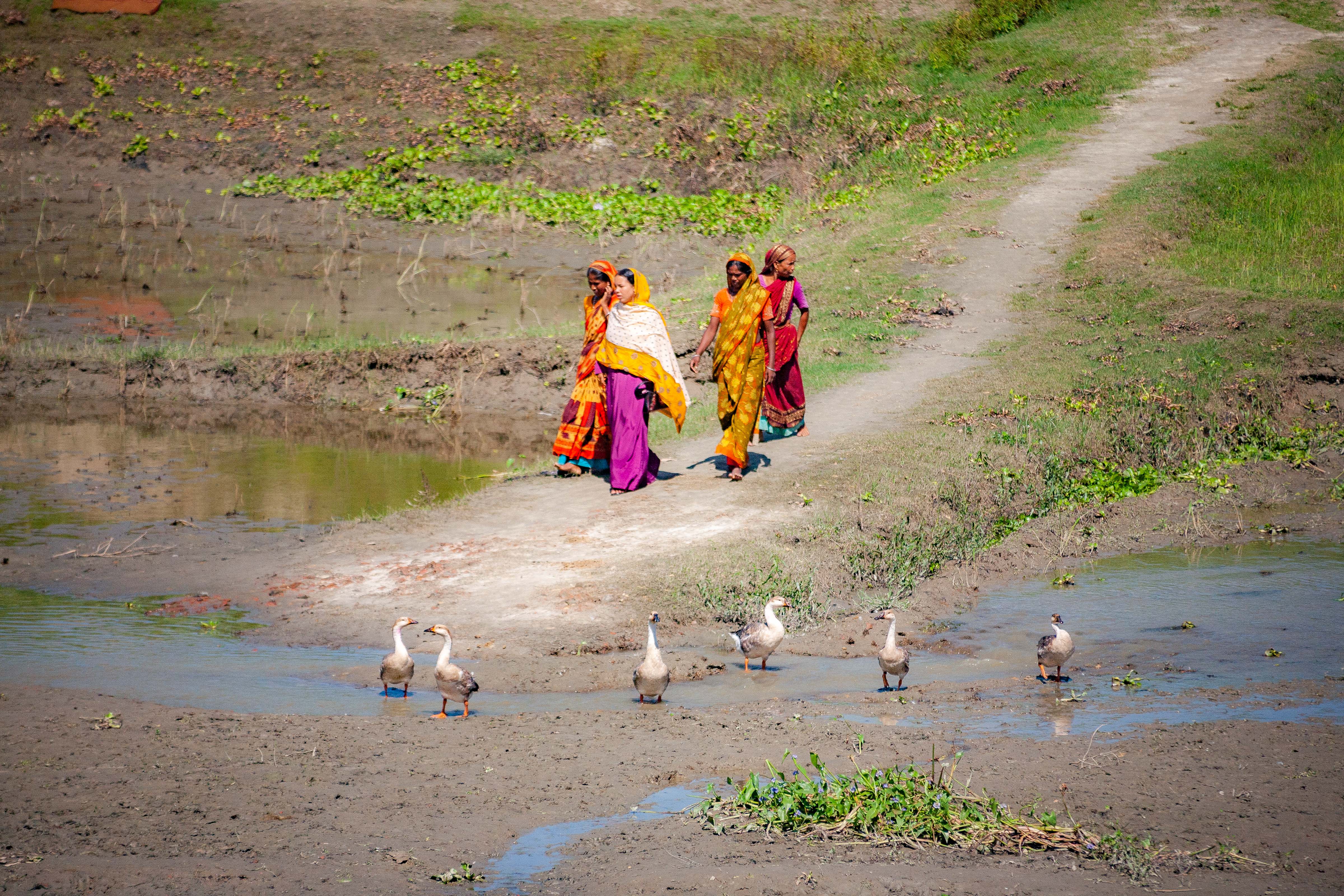 Bangladesh, Sirajganj Prov, Girls Walking River, 2009, IMG 8970