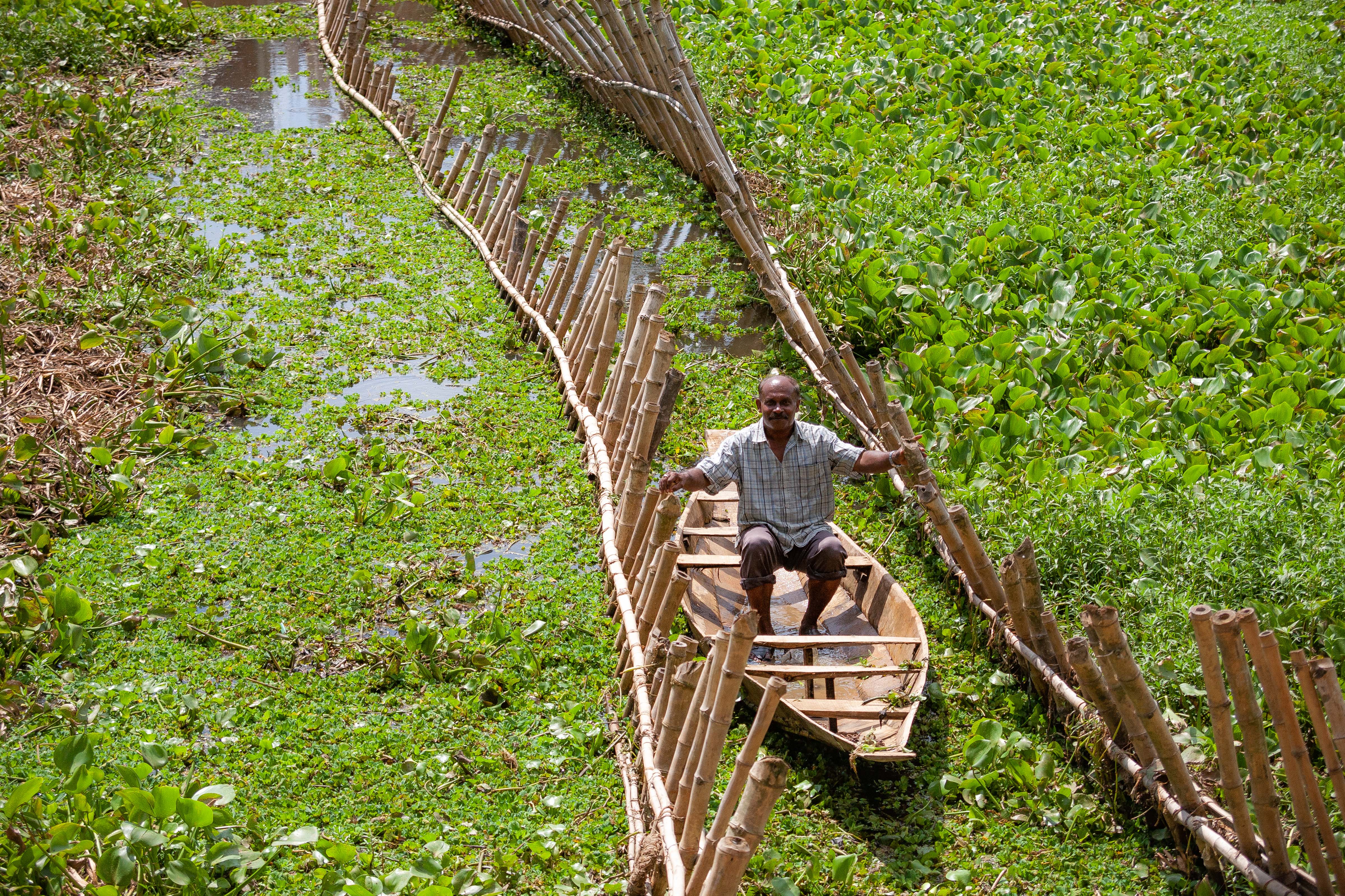 Bangladesh, Sylhet Prov, Man In Boat, 2009, IMG 8277