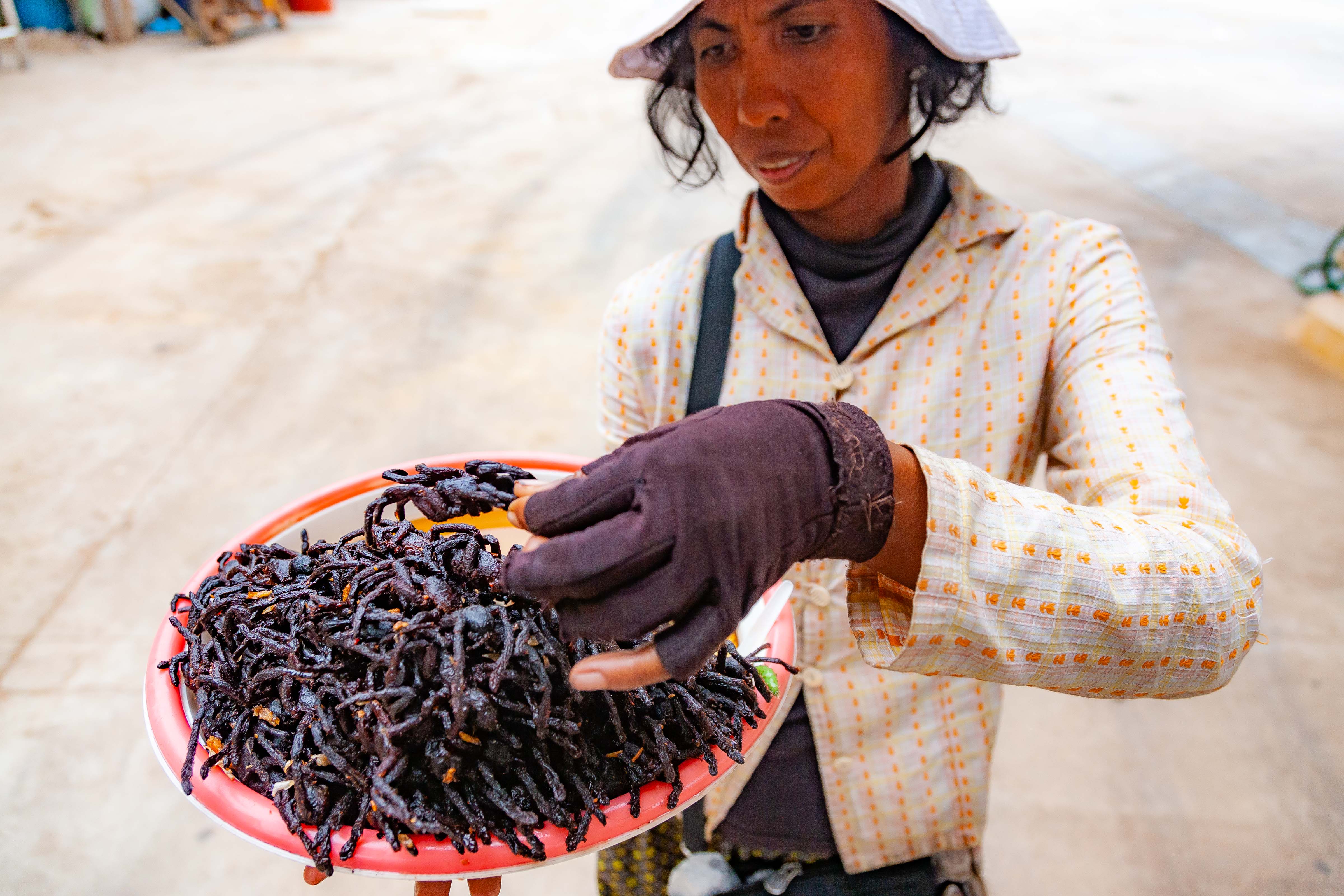 Cambodia, Kampong Chaam Prov, Tarantula Snacks For Sale, 2010, IMG 5569