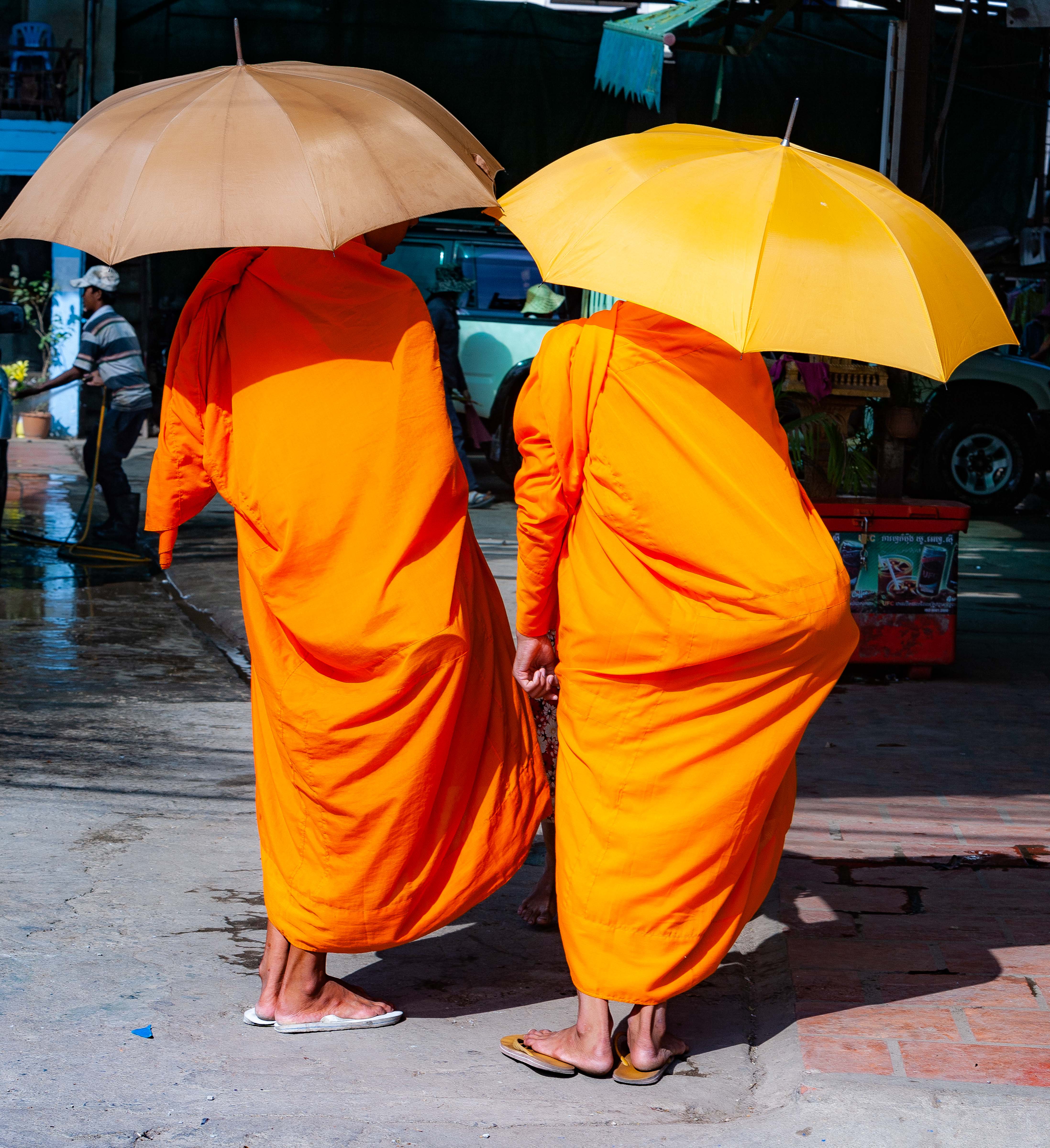 Cambodia, Phnom Penh Prov, Monks Umbrella, 2010, IMG 5152