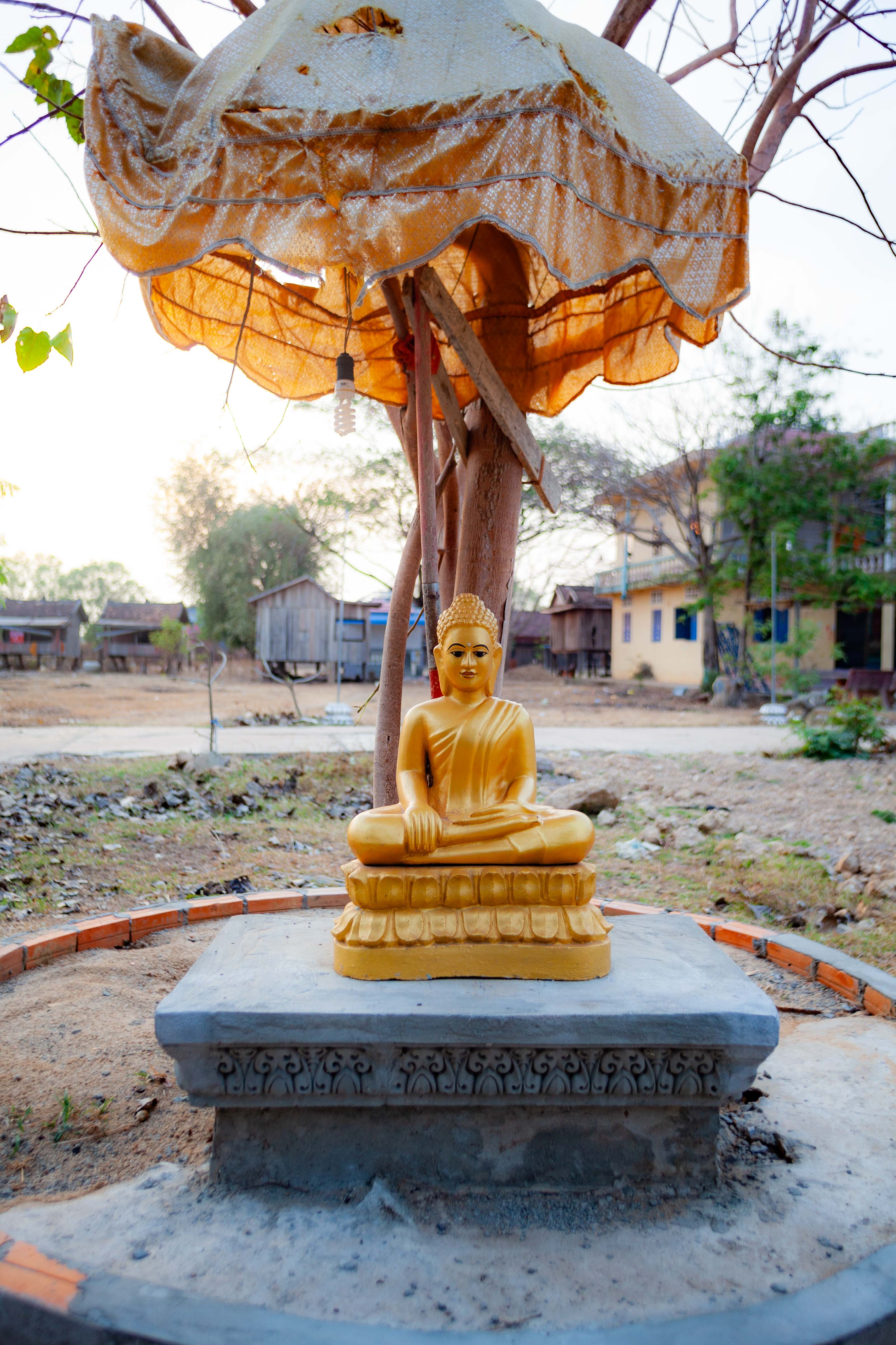 Cambodia, Pousaat Prov, Buddha, 2011, IMG 9594