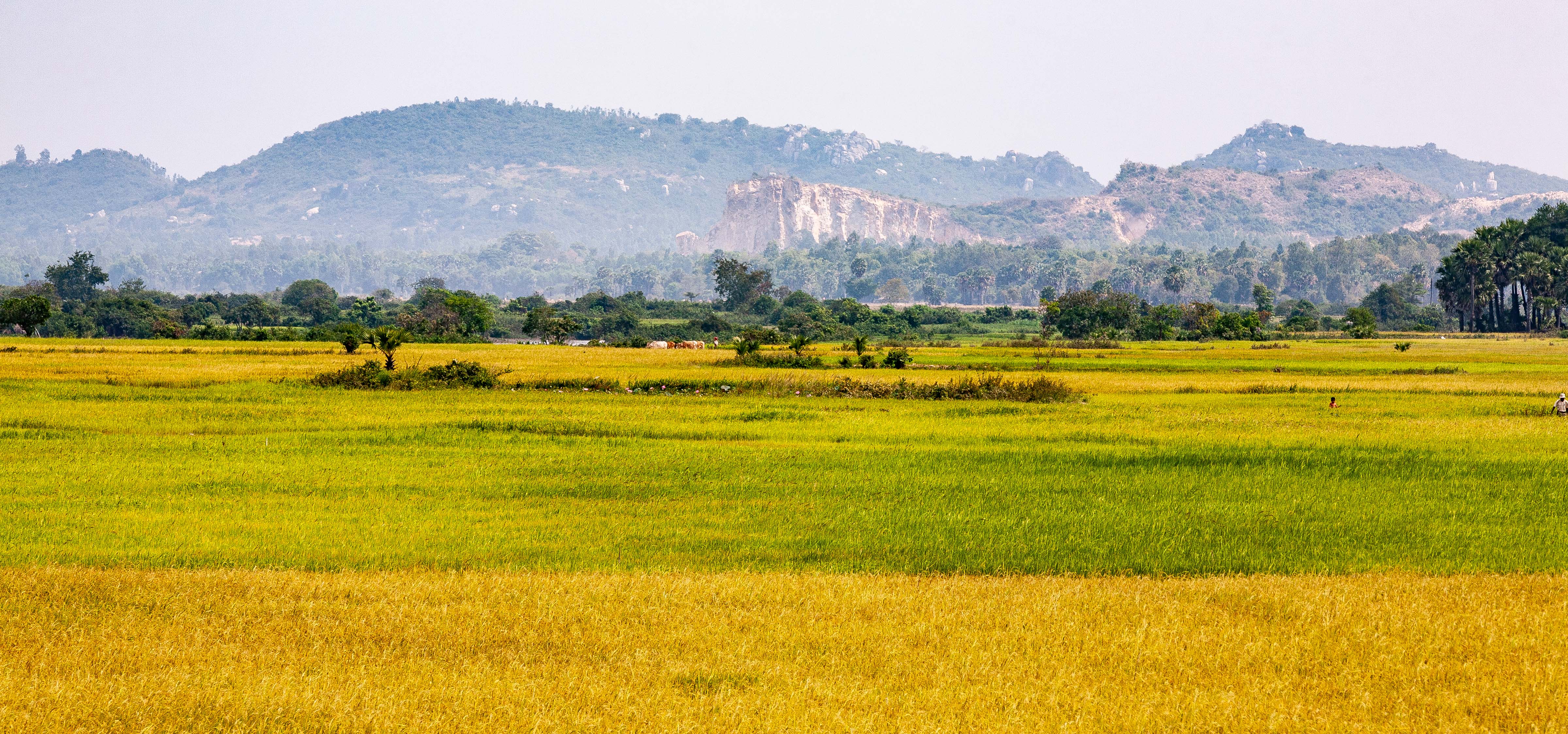 Cambodia, Prey Veaeng Prov, Landscape, 2010, IMG 5188
