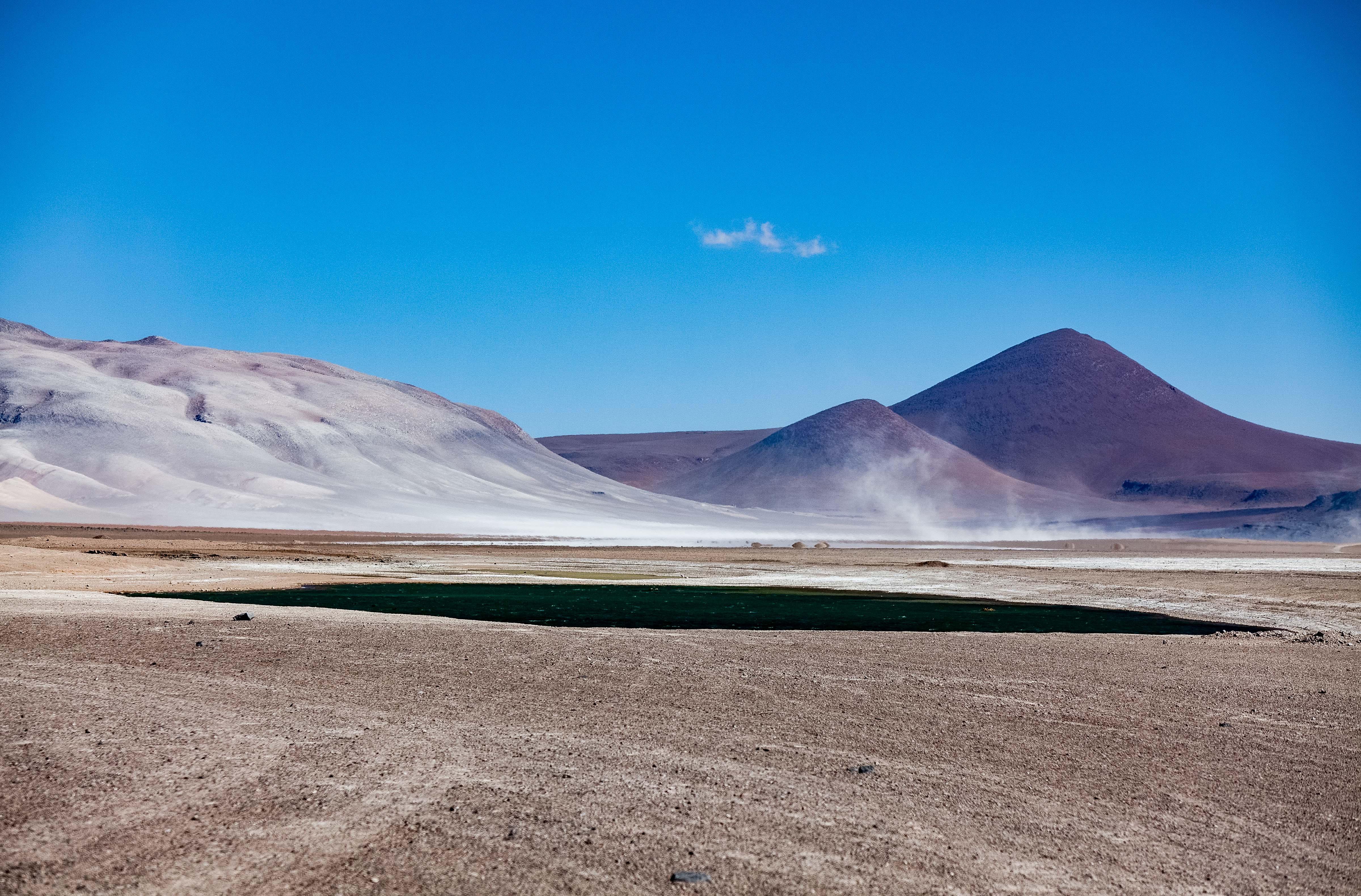 Chile, Antofagasta Prov, Altiplano Lake, 2010, IMG 4660