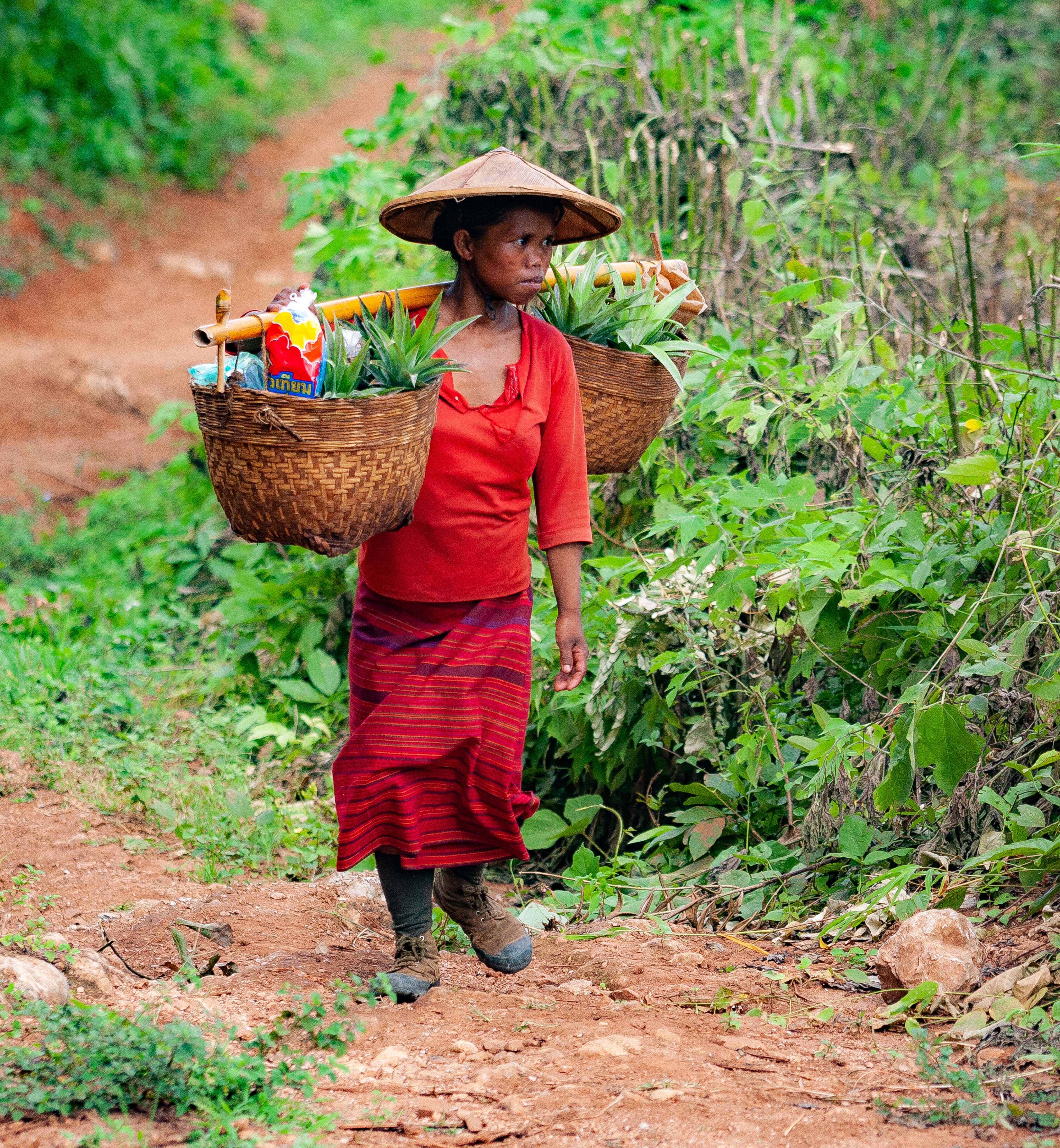 Myanmar, Shan Prov, Farmer, 2009, IMG 4467