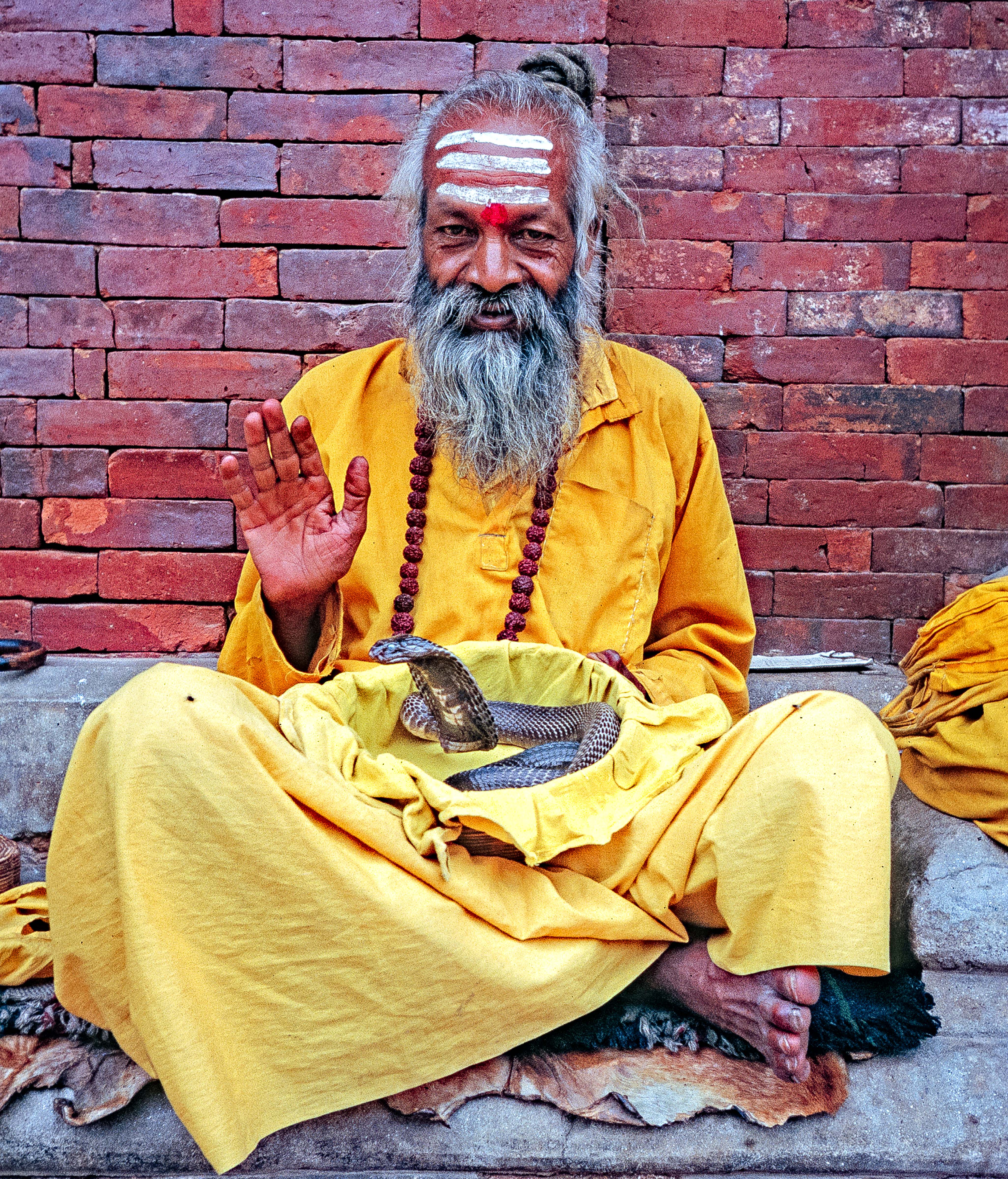 Nepal, Katmandu, Holy Man with Cobra, 1995