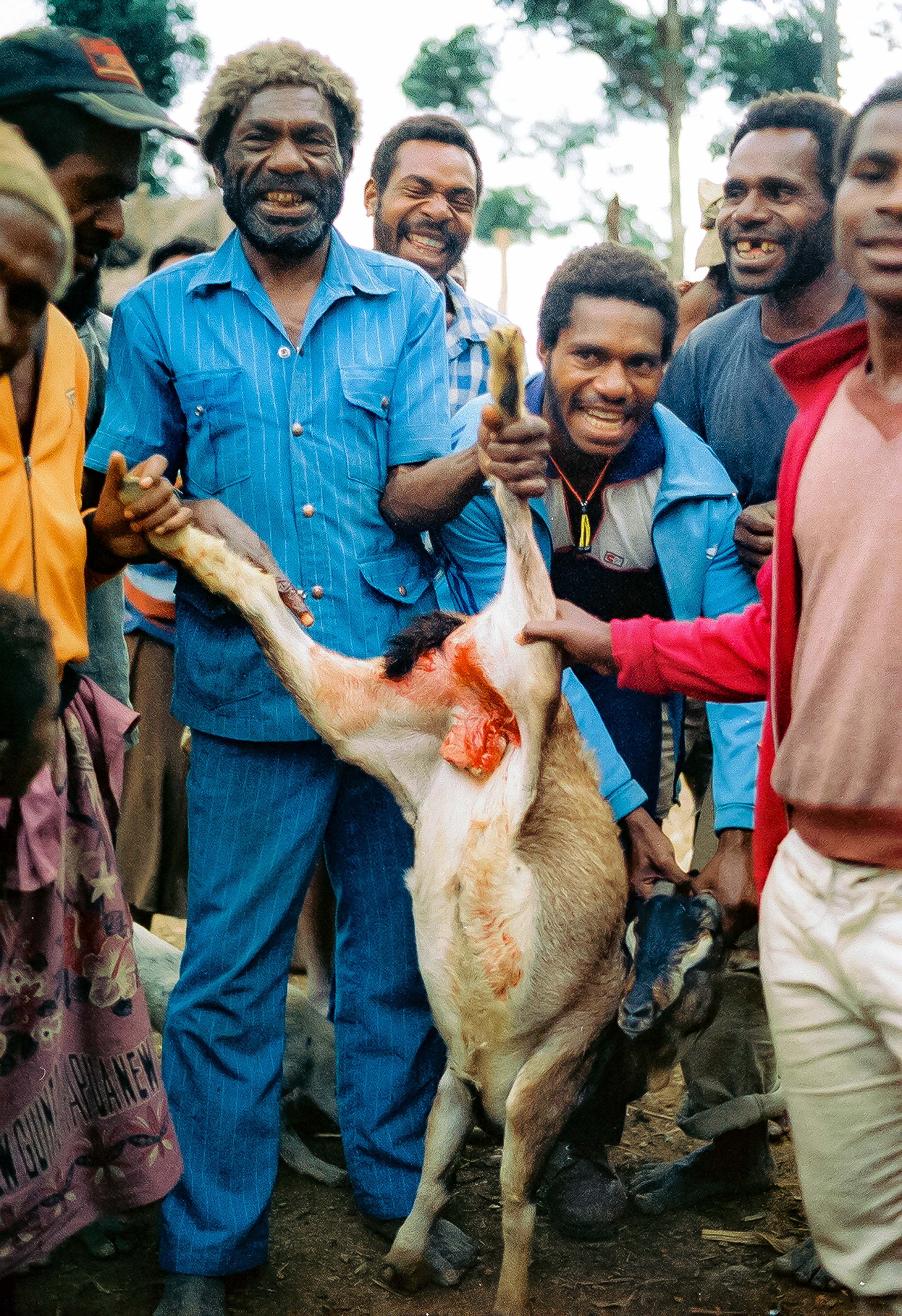 Papua New Guinea, Gera Chief Castrating Goat, 1983