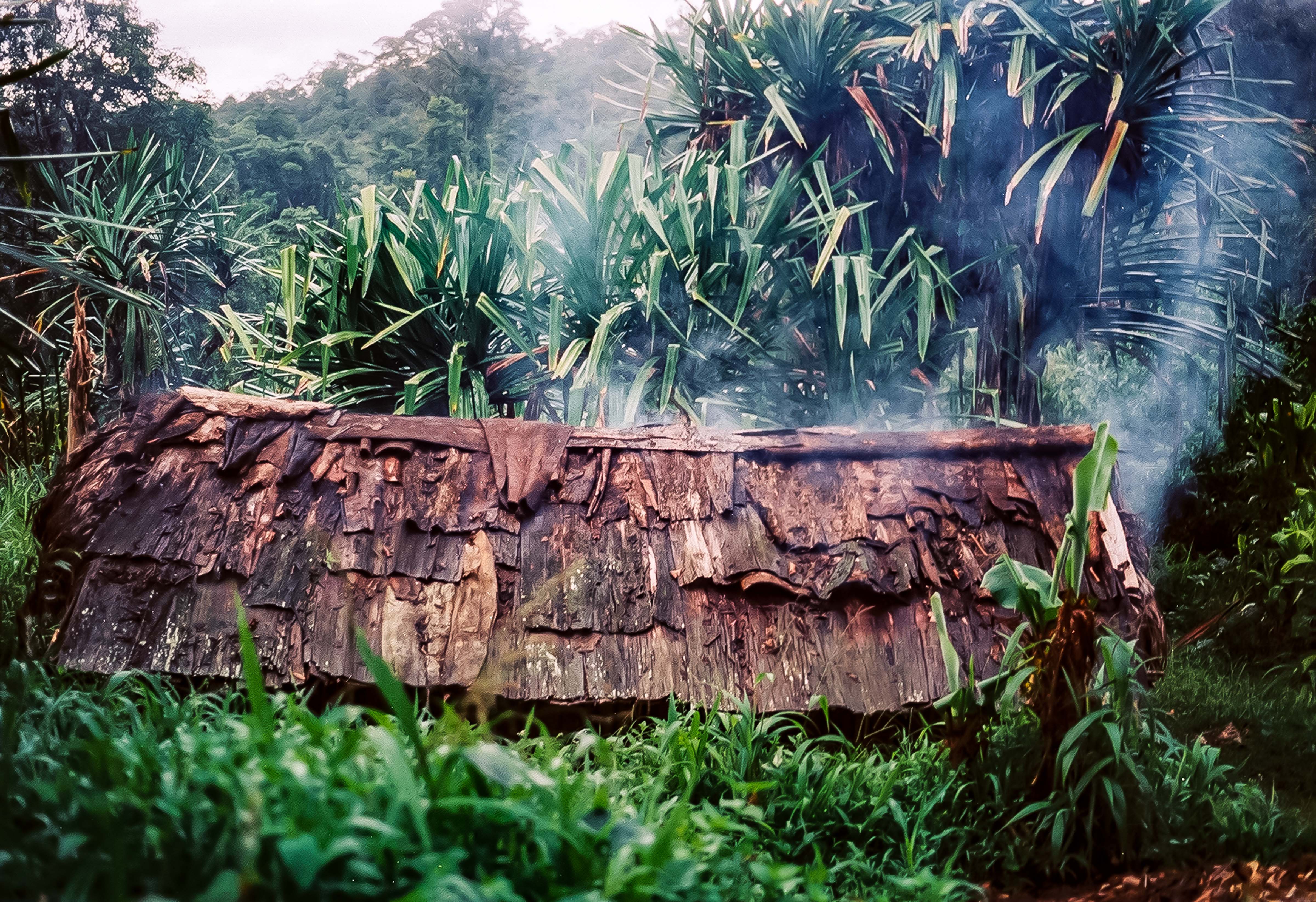 Papua New Guinea, Hut, 1983