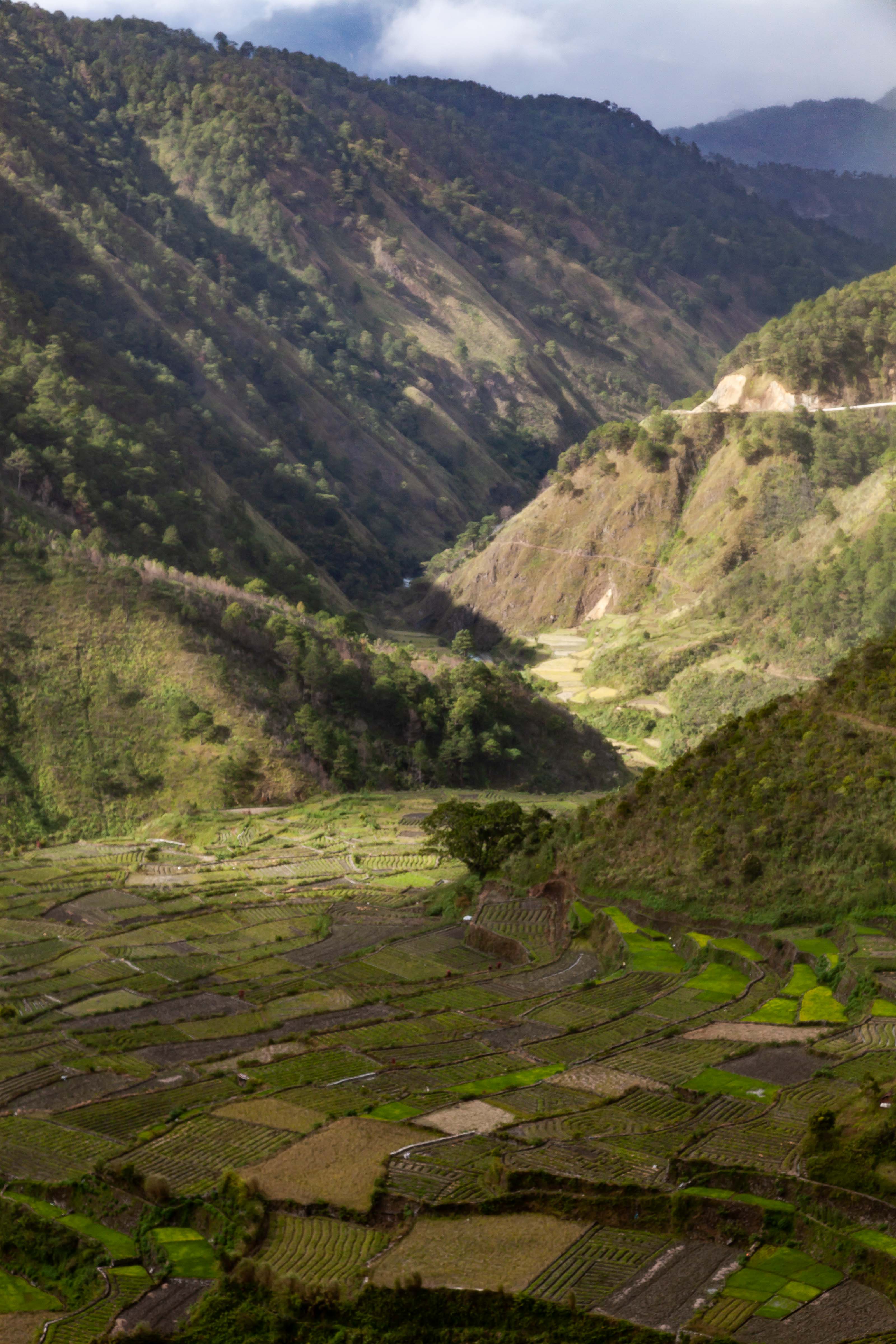 Philippines, Mountain Prov, Bay-Yo Rice Terraces, 2011, IMG 9429