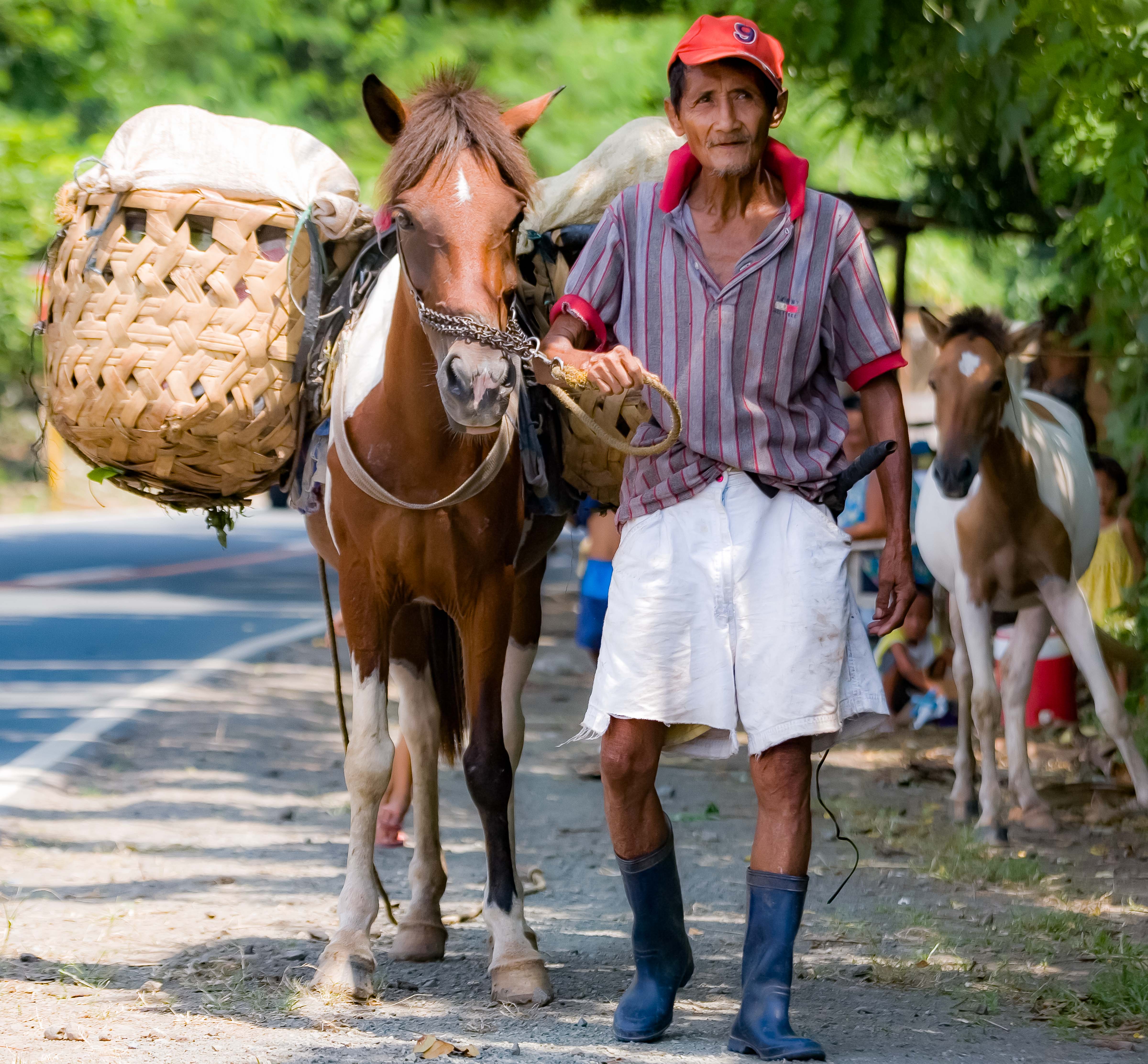 Philippines, Laguna Province, Horse And Man, 2007