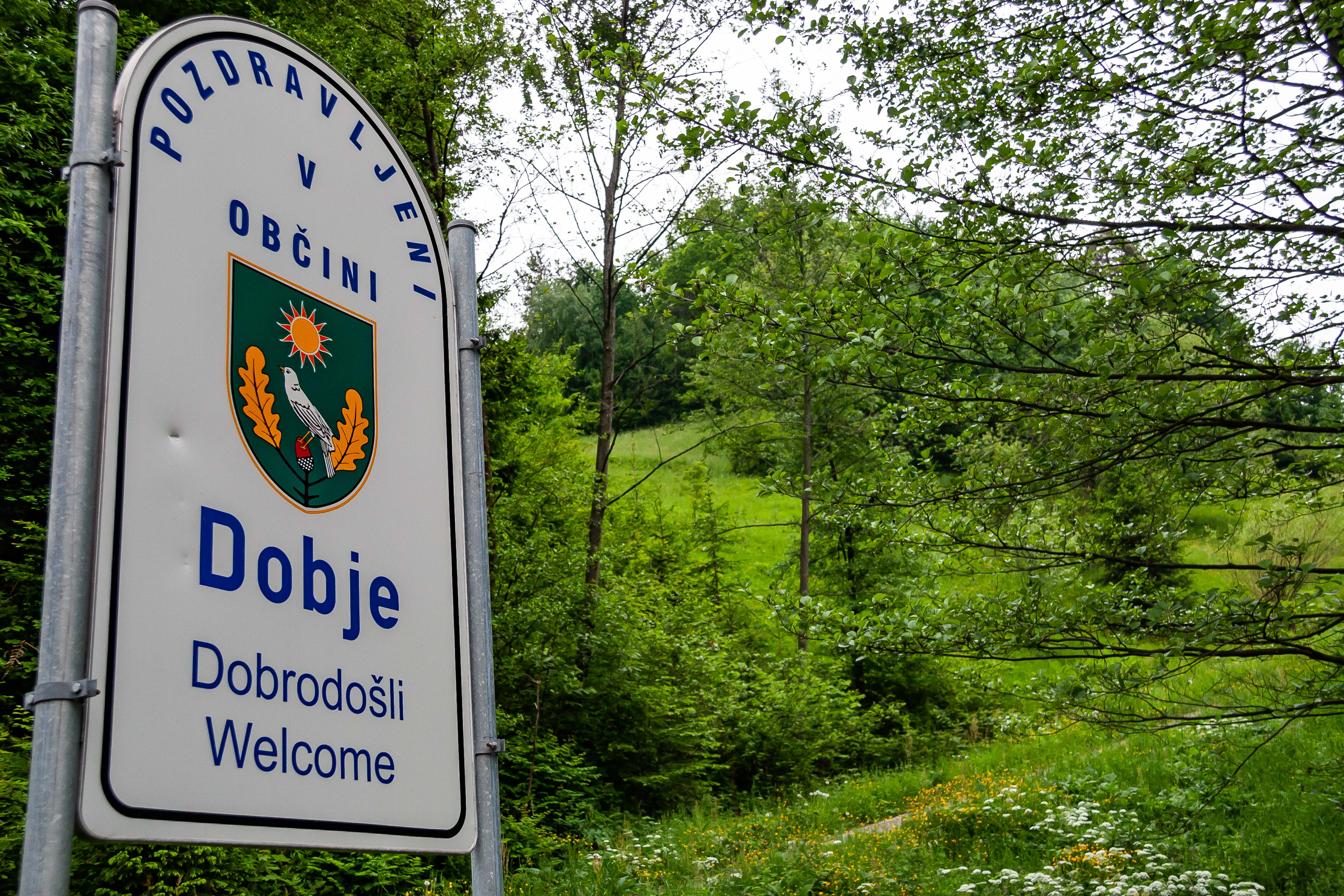 Slovenia, Dobje Prov, Dobrodosli Obcina Dobje, 2006, IMG 8059