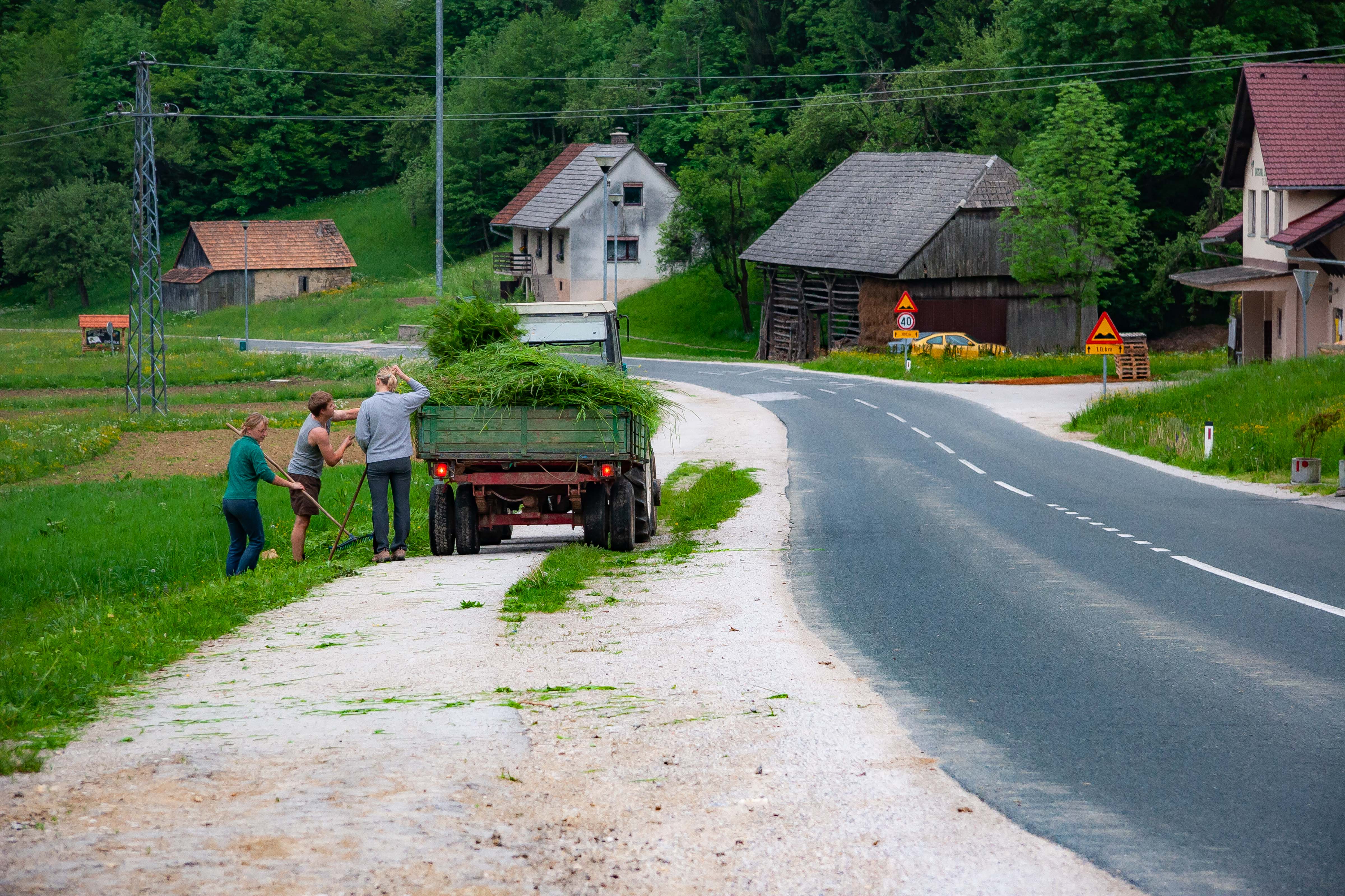 Slovenia, Dobje Prov, Hay Truck, 2006, IMG 8058