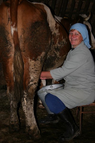 Slovenia, Dobrna Prov, Mama Milks The Cow, 2006, IMG 8086