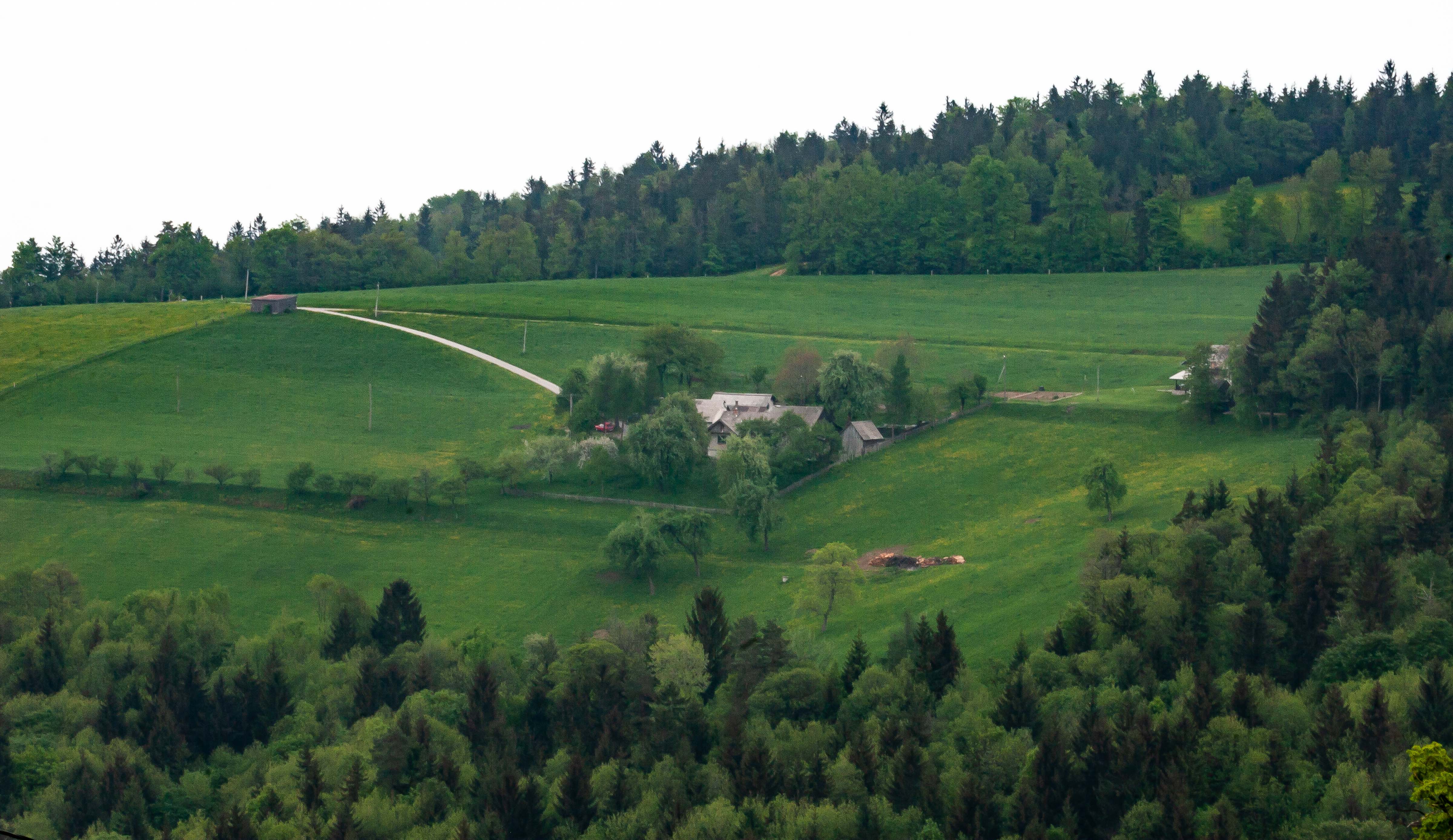 Slovenia, Hoce Slivnica Prov, Country Farm, 2006, IMG 5591