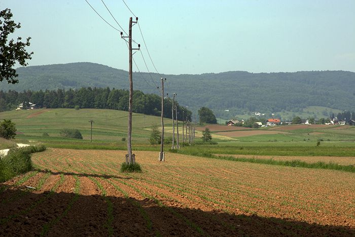 Slovenia, Ivancna Gorica Prov, Farm Land, 2006, IMG 7543