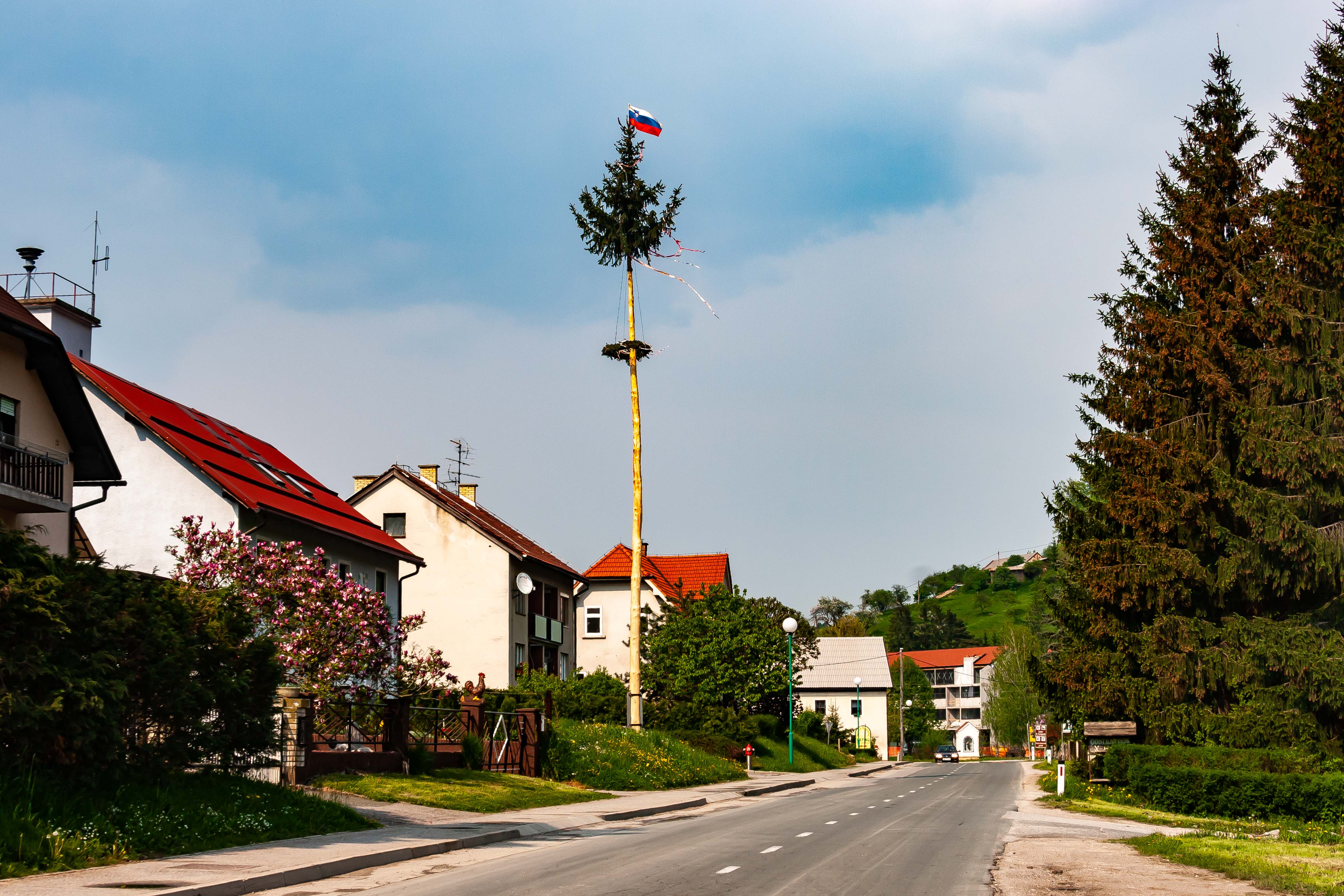 Slovenia, Kungota Prov, Maypole, 2006, IMG 5011