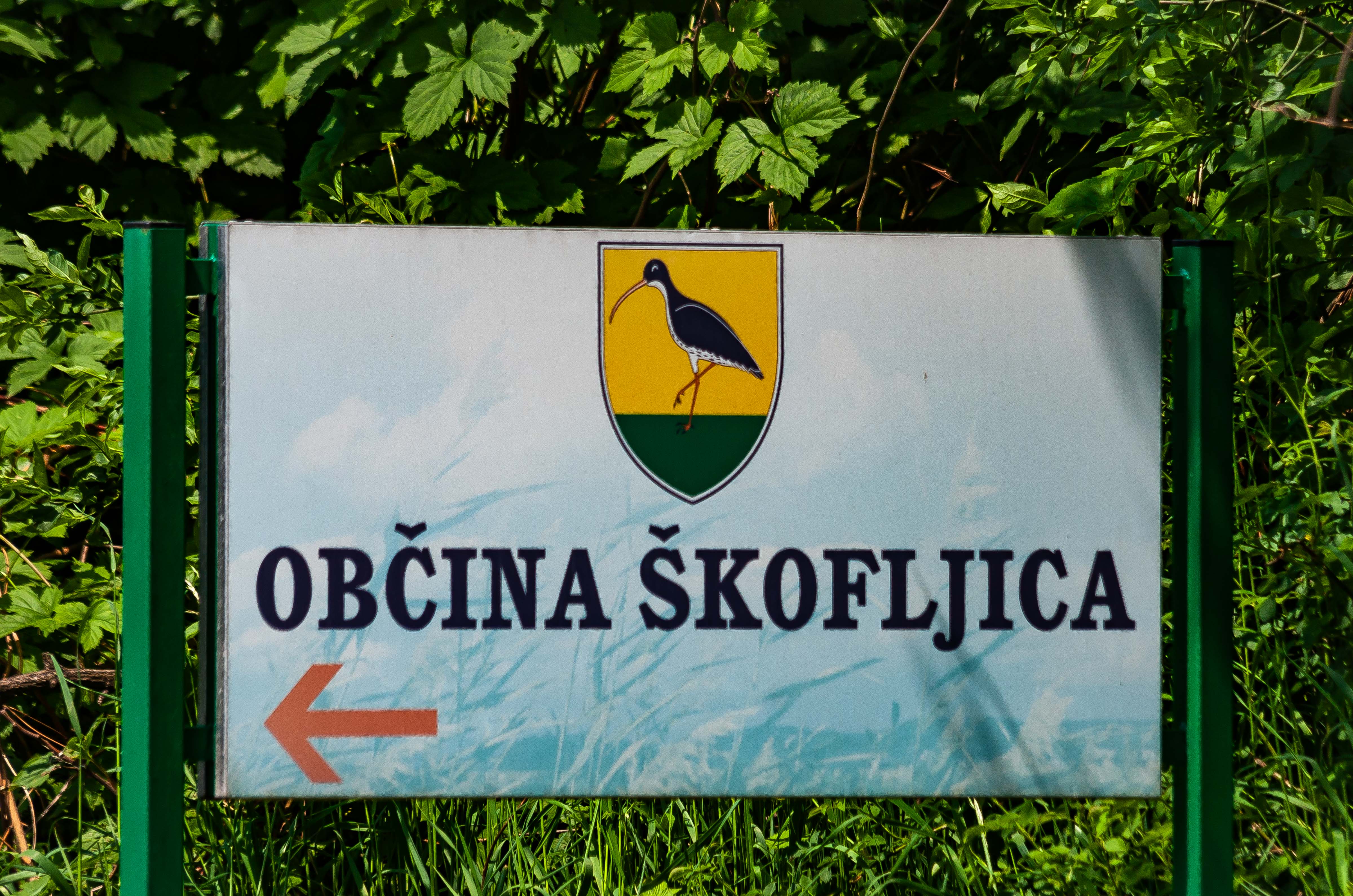 Slovenia, Skofljica Prov, Emblem, 2006, IMG 5745