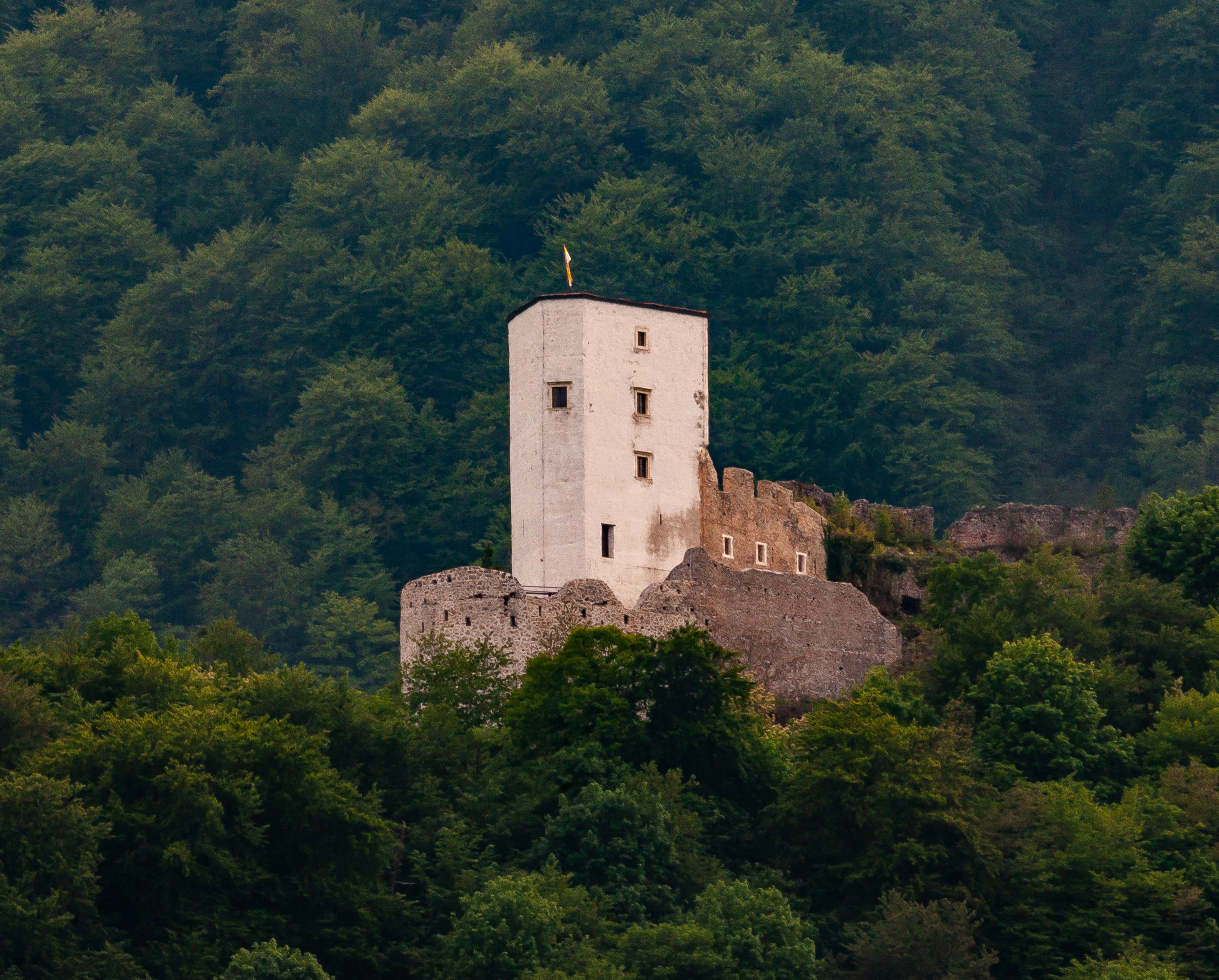 Slovenia, Slovenske Konjice Prov, Castle, 2006, IMG 5658