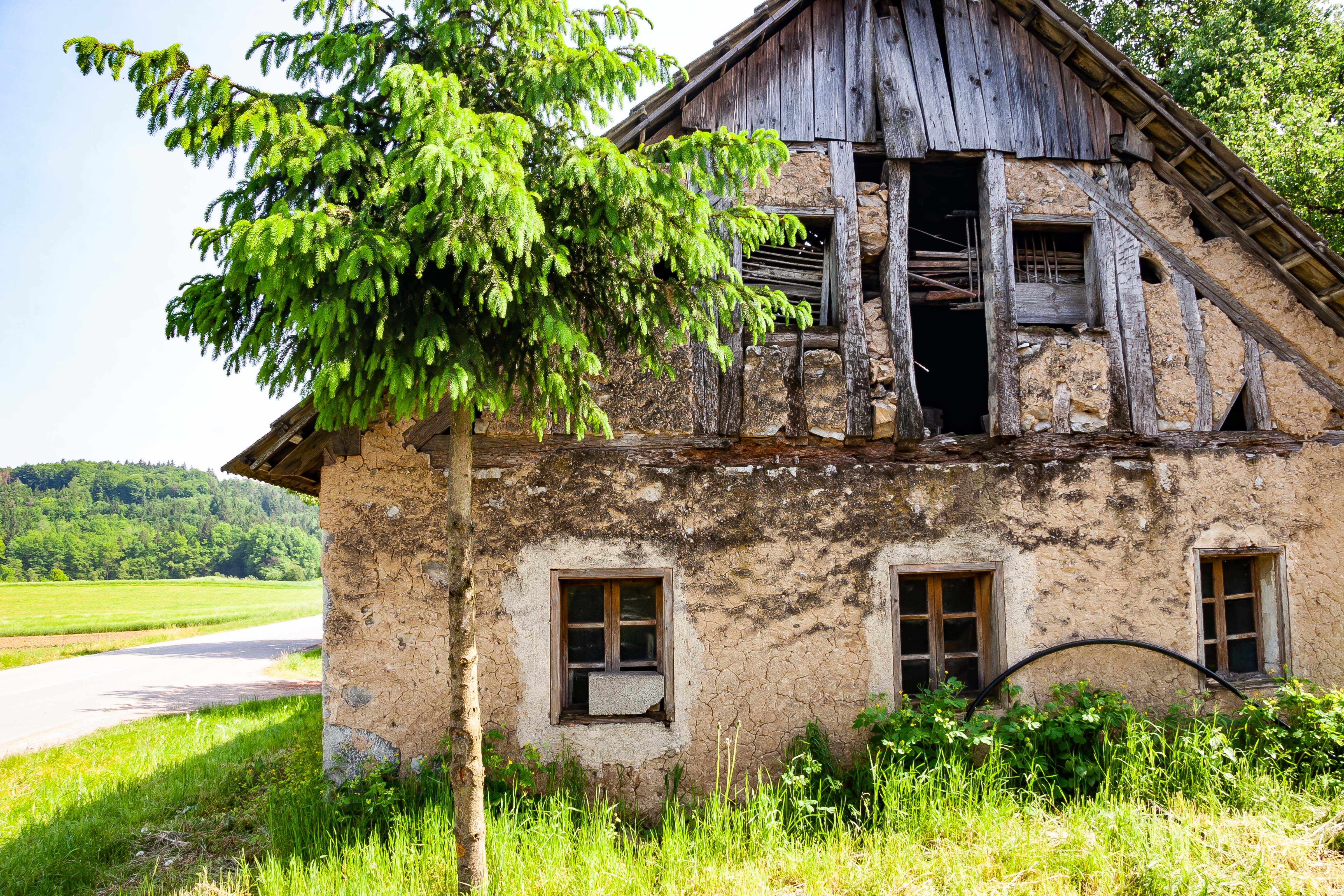 Slovenia, Trebnje Prov, Abandoned House, 2006, IMG 7552