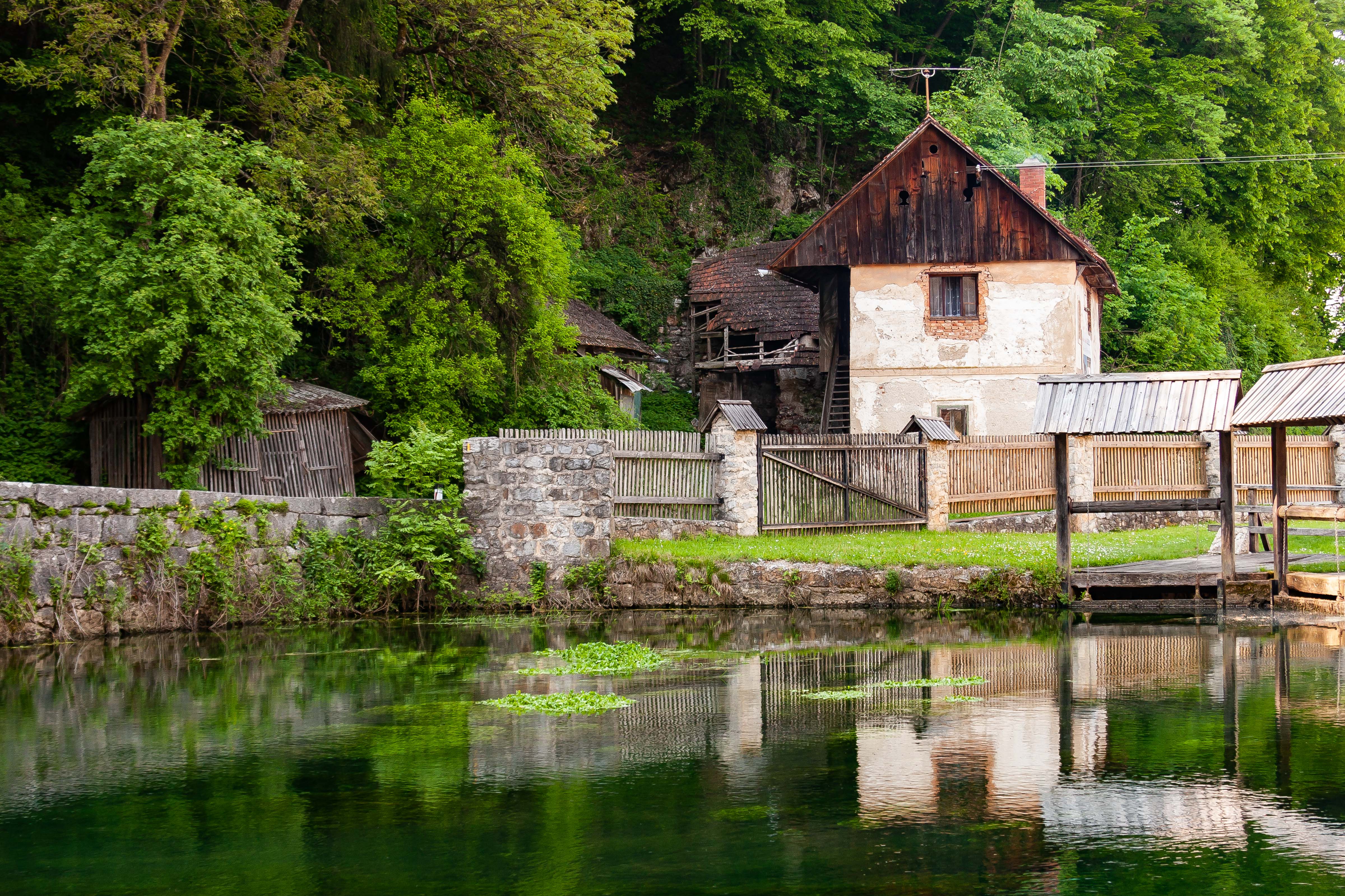 Slovenia, Vrhnika Prov, Pond, 2006, IMG 5825