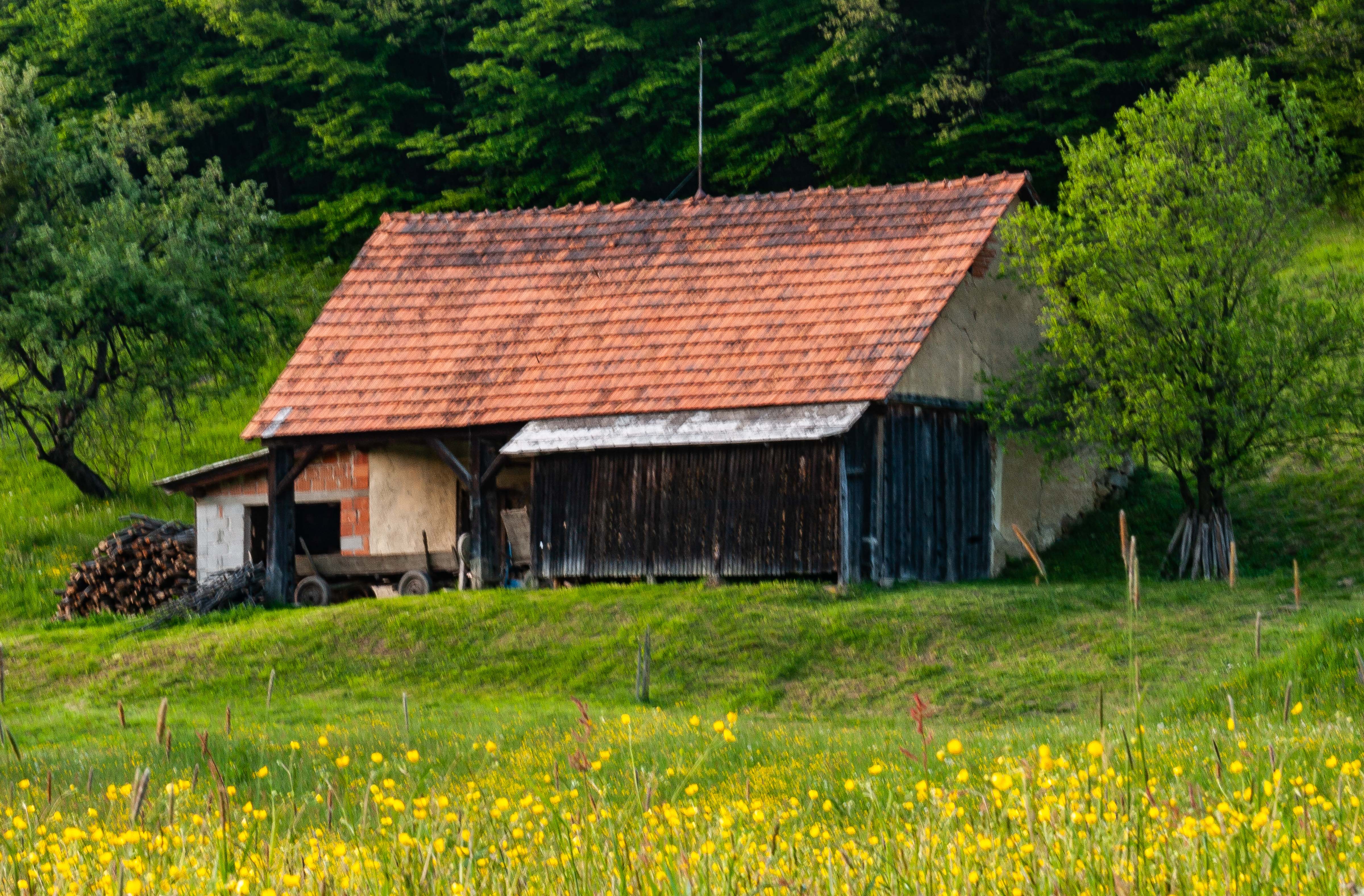 Slovenia, Zetale Prov, Barn, 2006, IMG 5487
