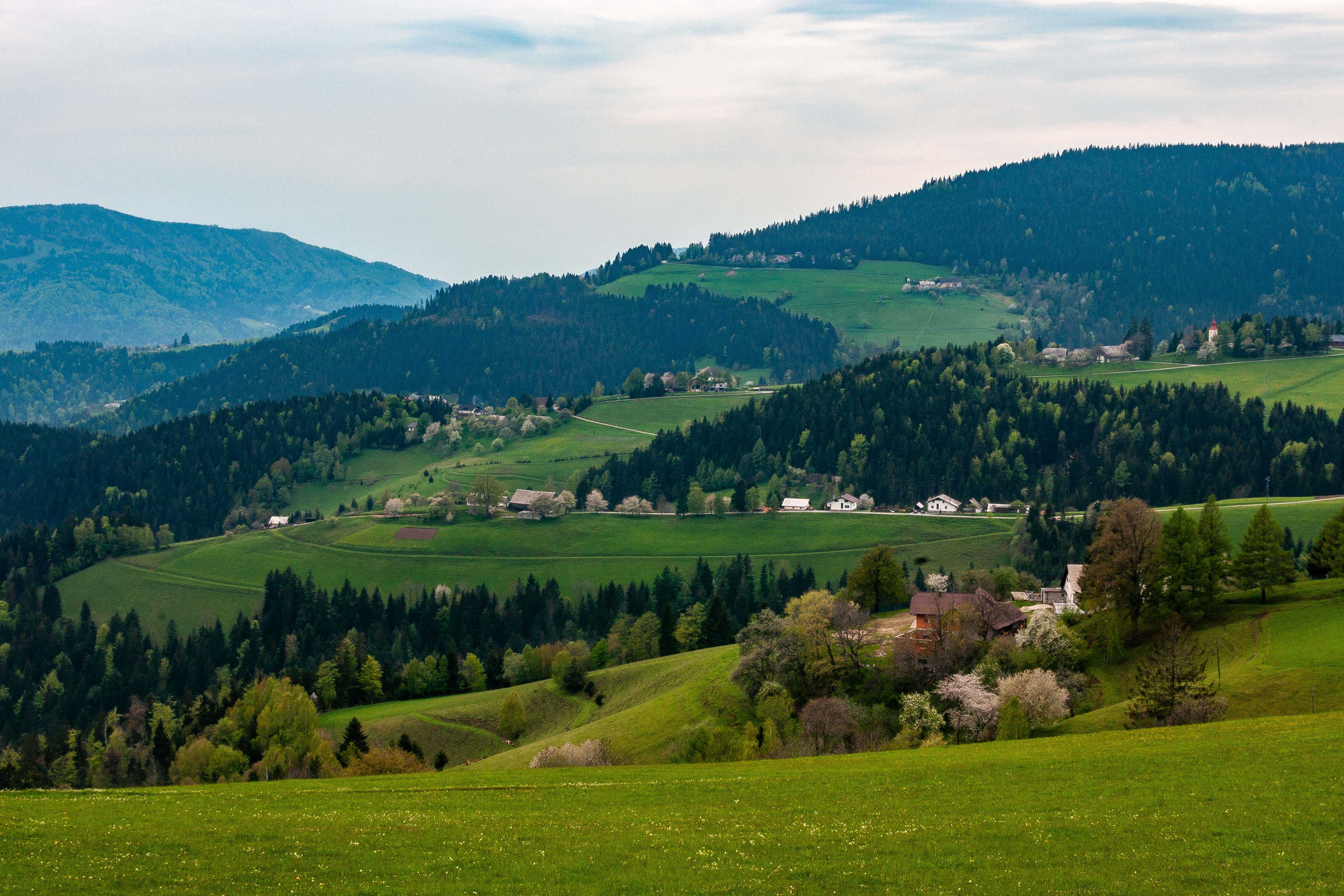 Slovenia, Zrece Prov, Country Landscape, 2006, IMG 5631