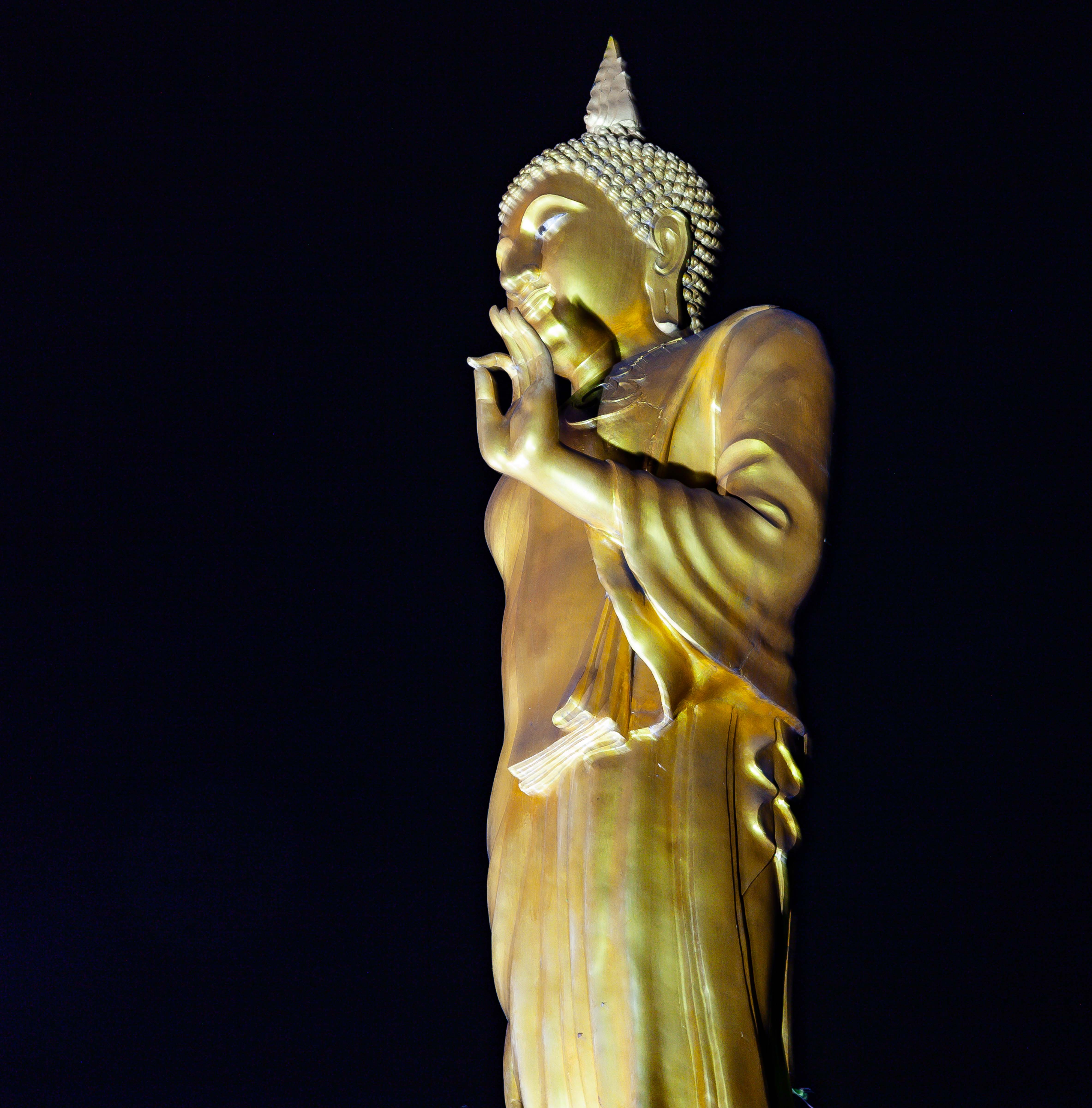 Thailand, Chiang Mai Prov, Night Statue, 2008, IMG 3946