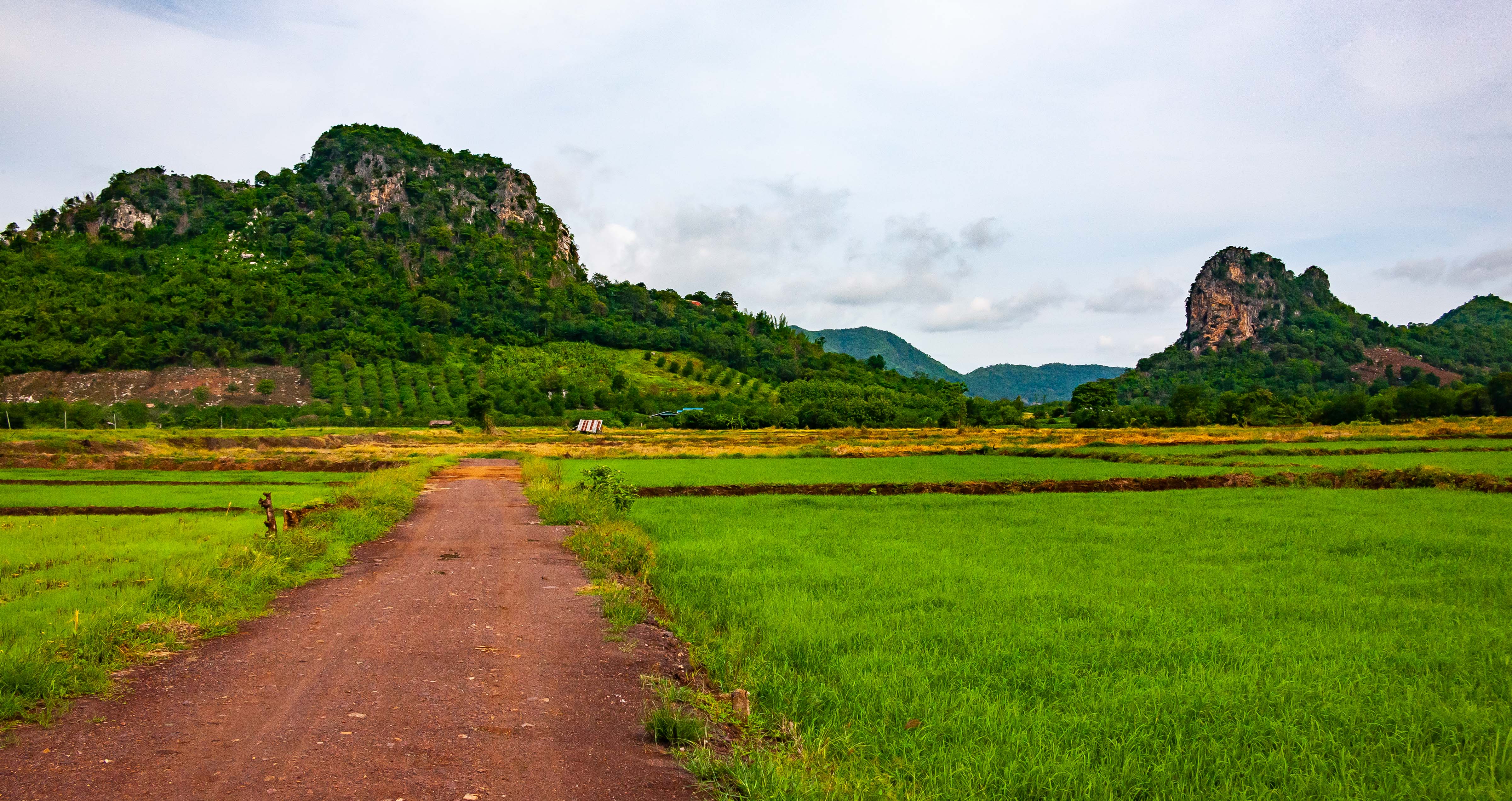 Thailand, Phetchabun Prov, Landscape, 2008, IMG 4262