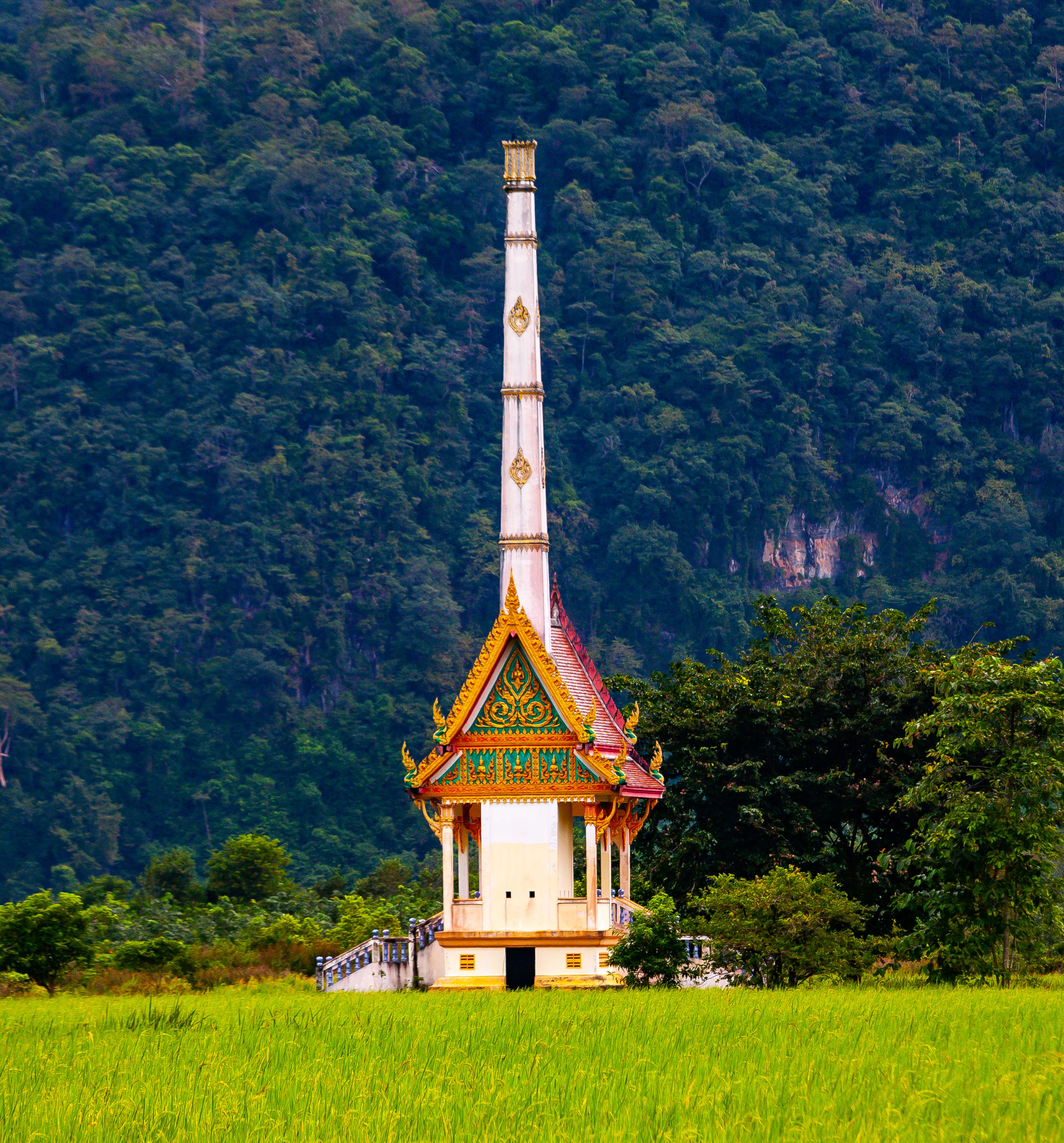 Thailand, Satun Prov, Field Temple, 2008, IMG 1847