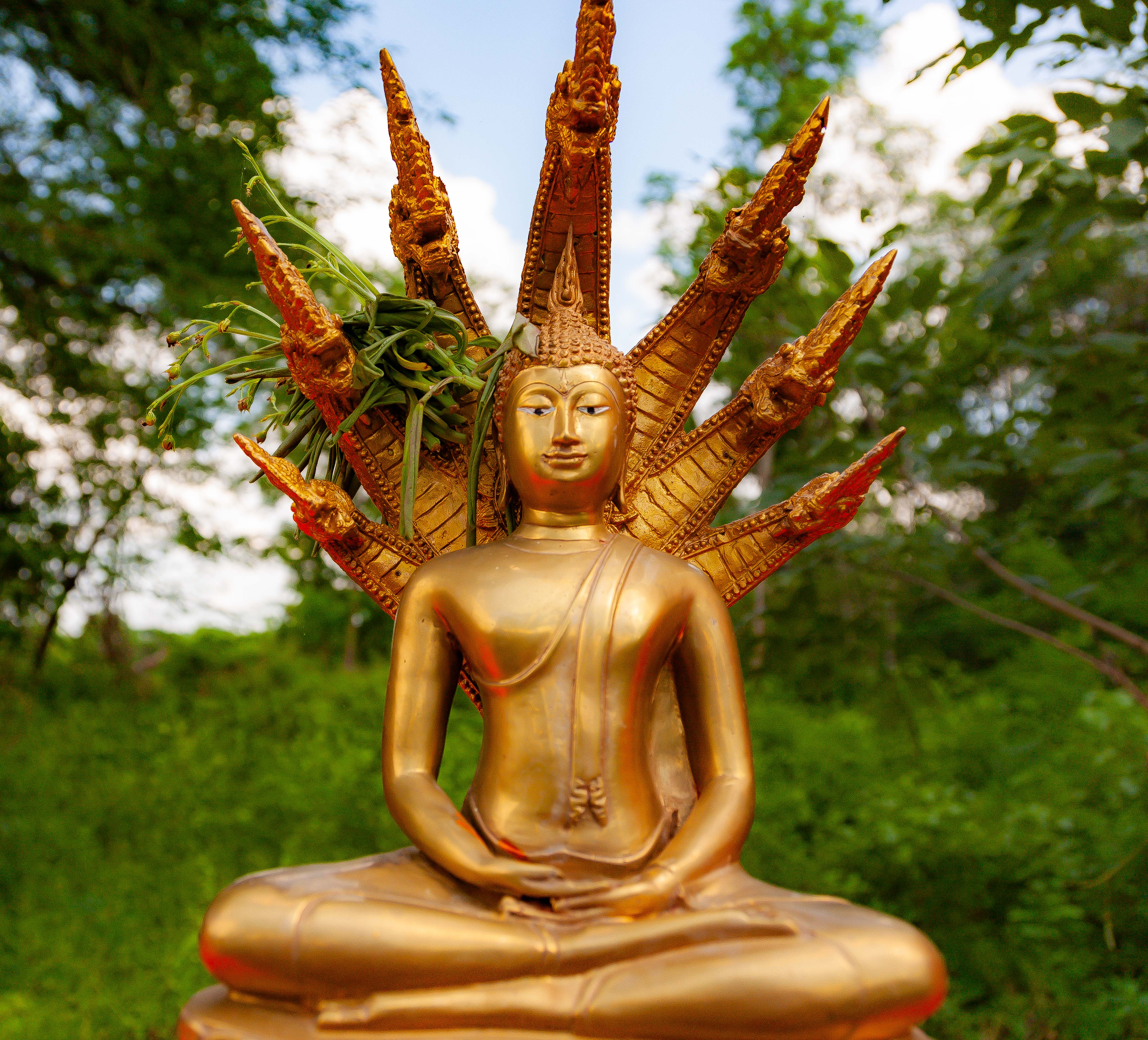 Thailand, Uttaradit Prov, Roadside Buddha, 2008, IMG 4119