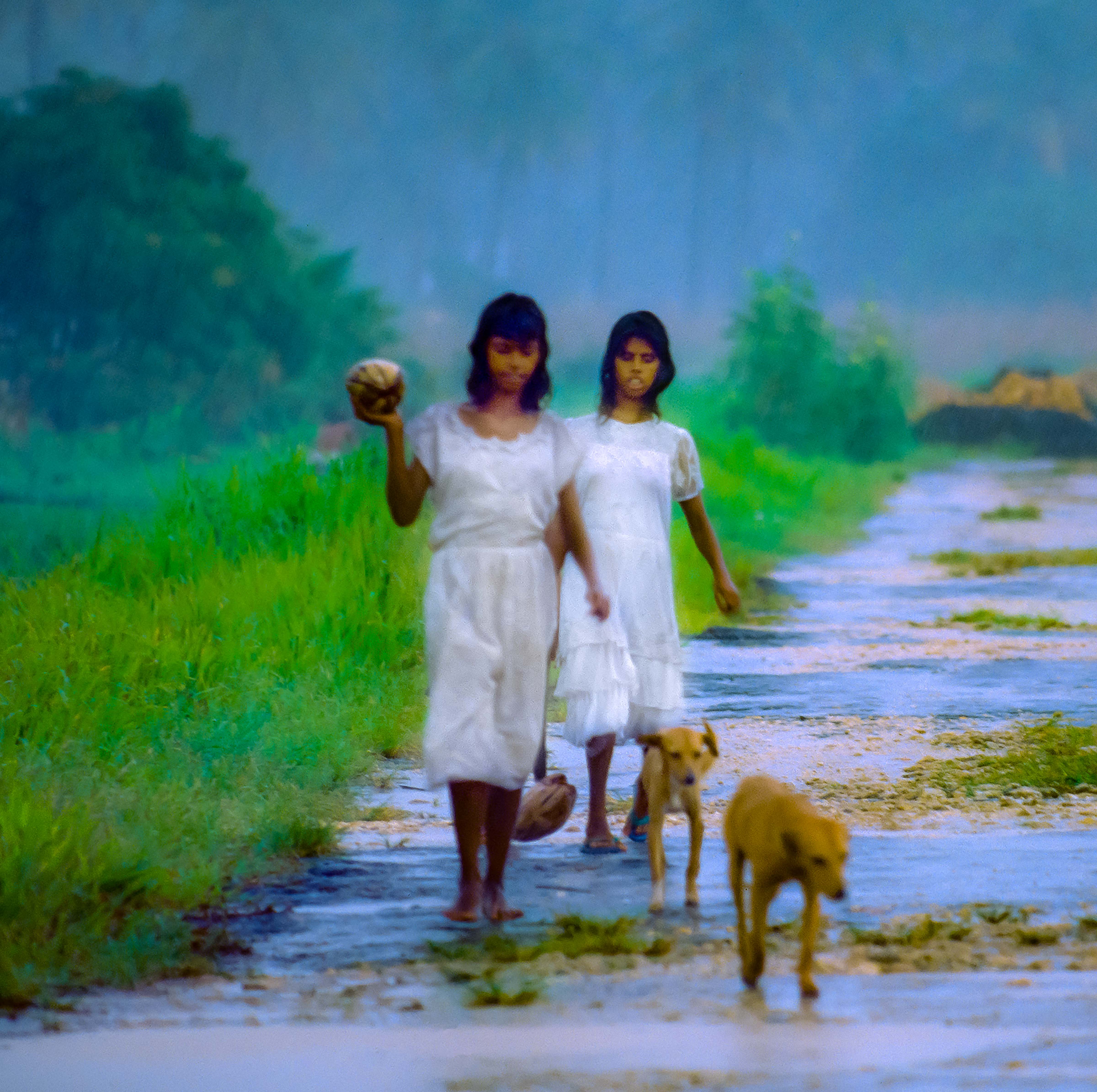 Trinidad, Girls In Rain, 1997