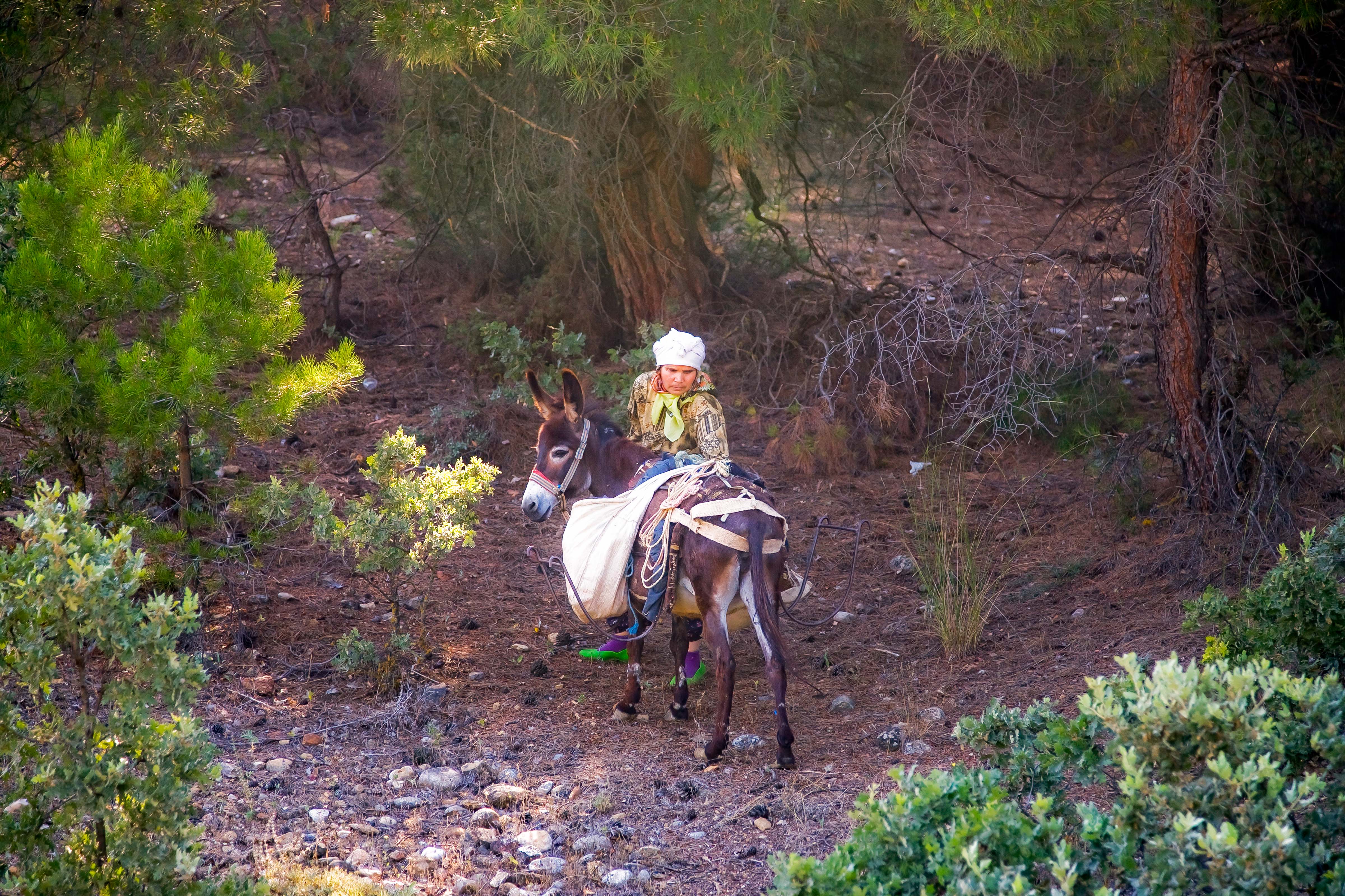 Turkey, Kutahya Province, Gypsy Woman With Donkey, 2010, IMG 9880