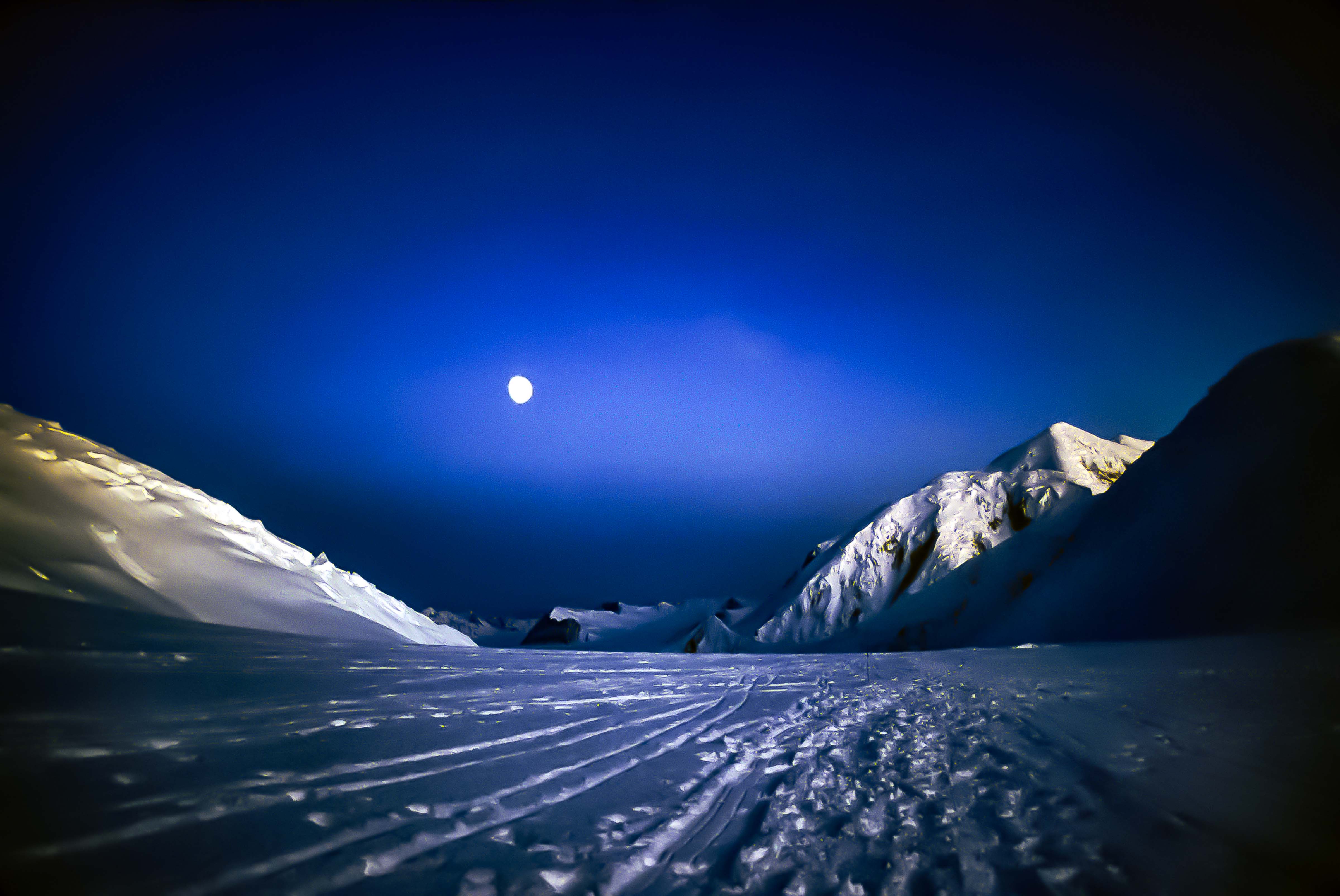 USA, Alaska, Denali Night Walk, 1993