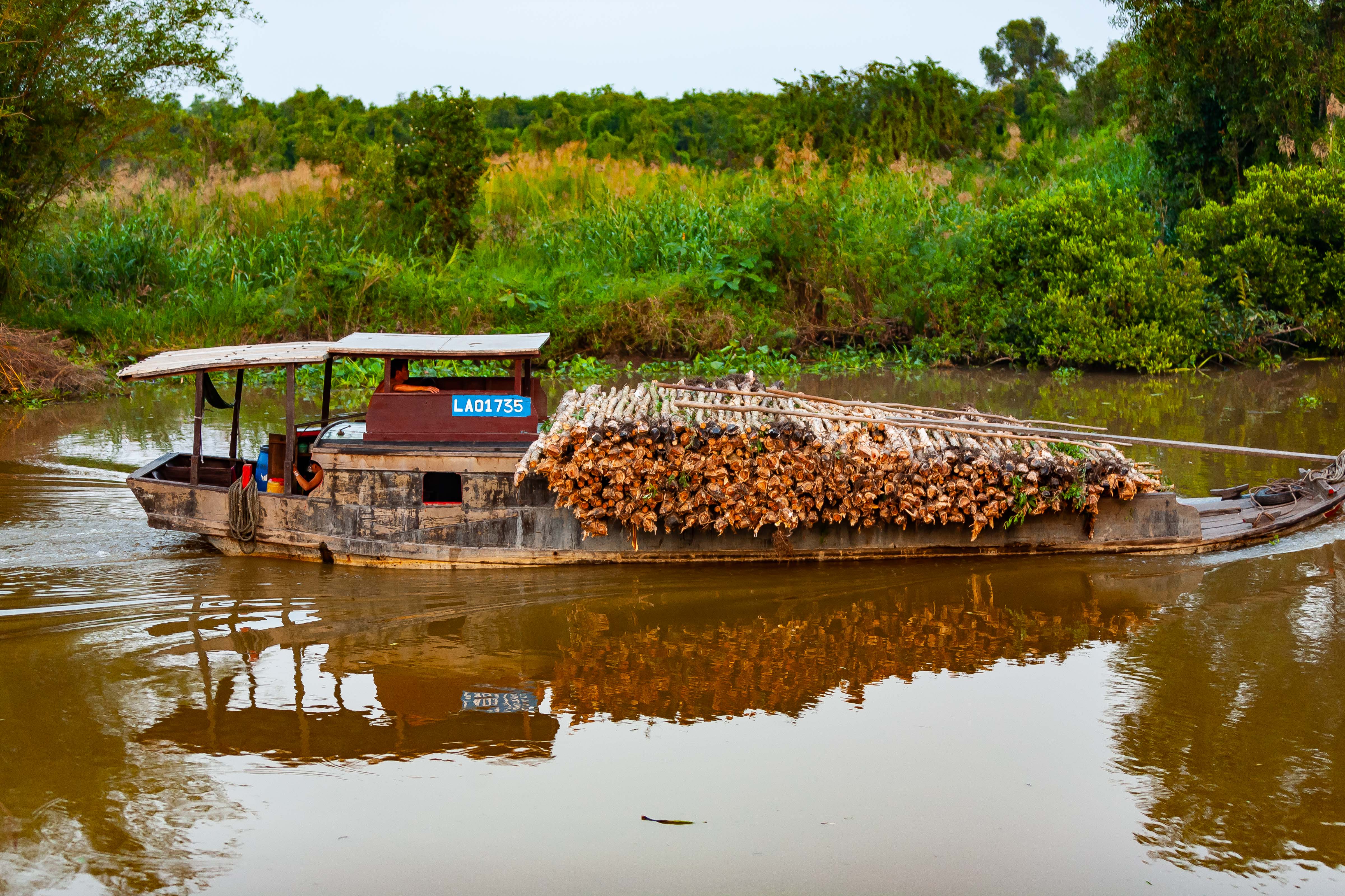 Vietnam, Long An Prov, Logging Boat, 2010, IMG 2024