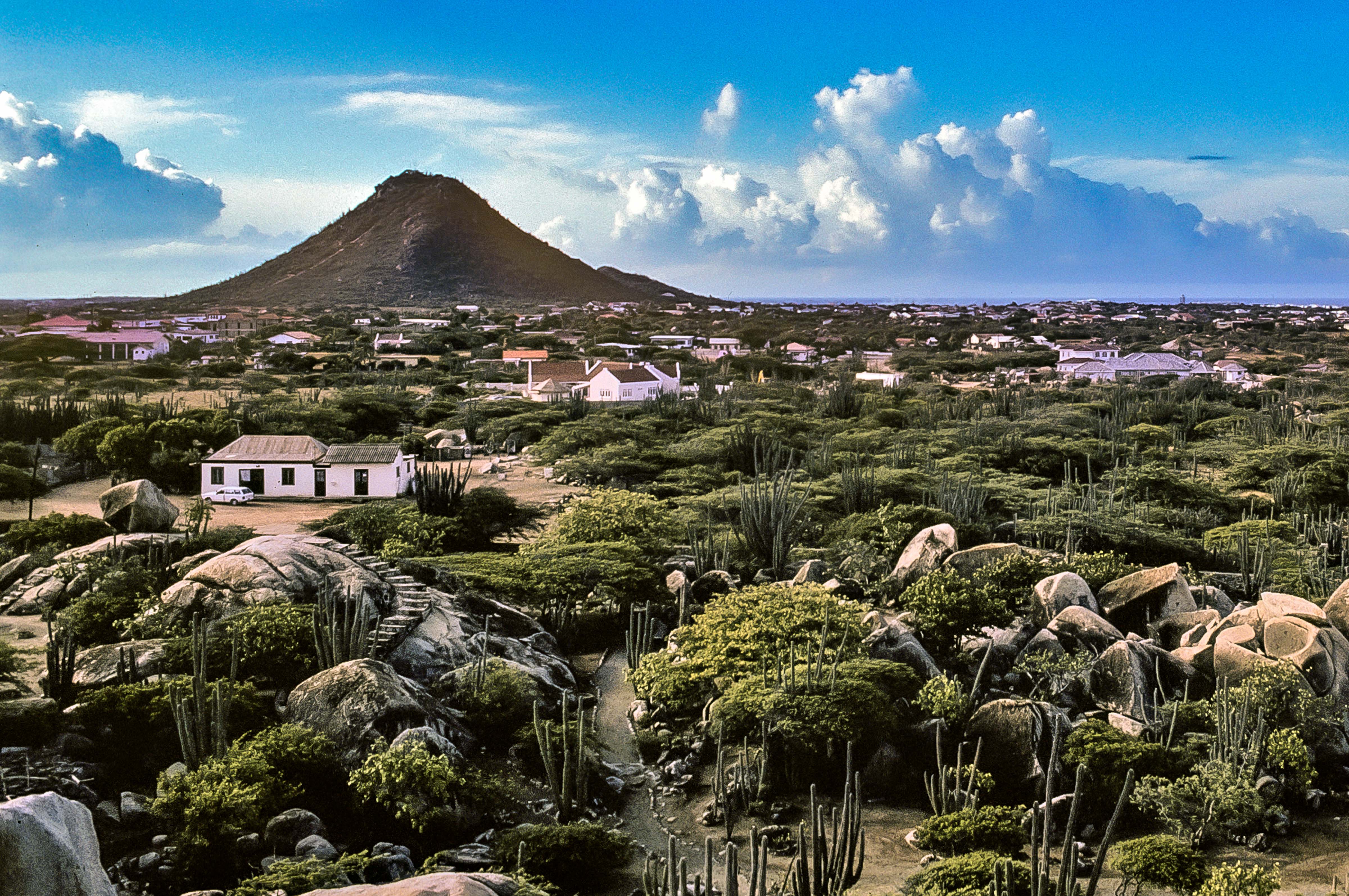 Aruba, Landscape, 1993
