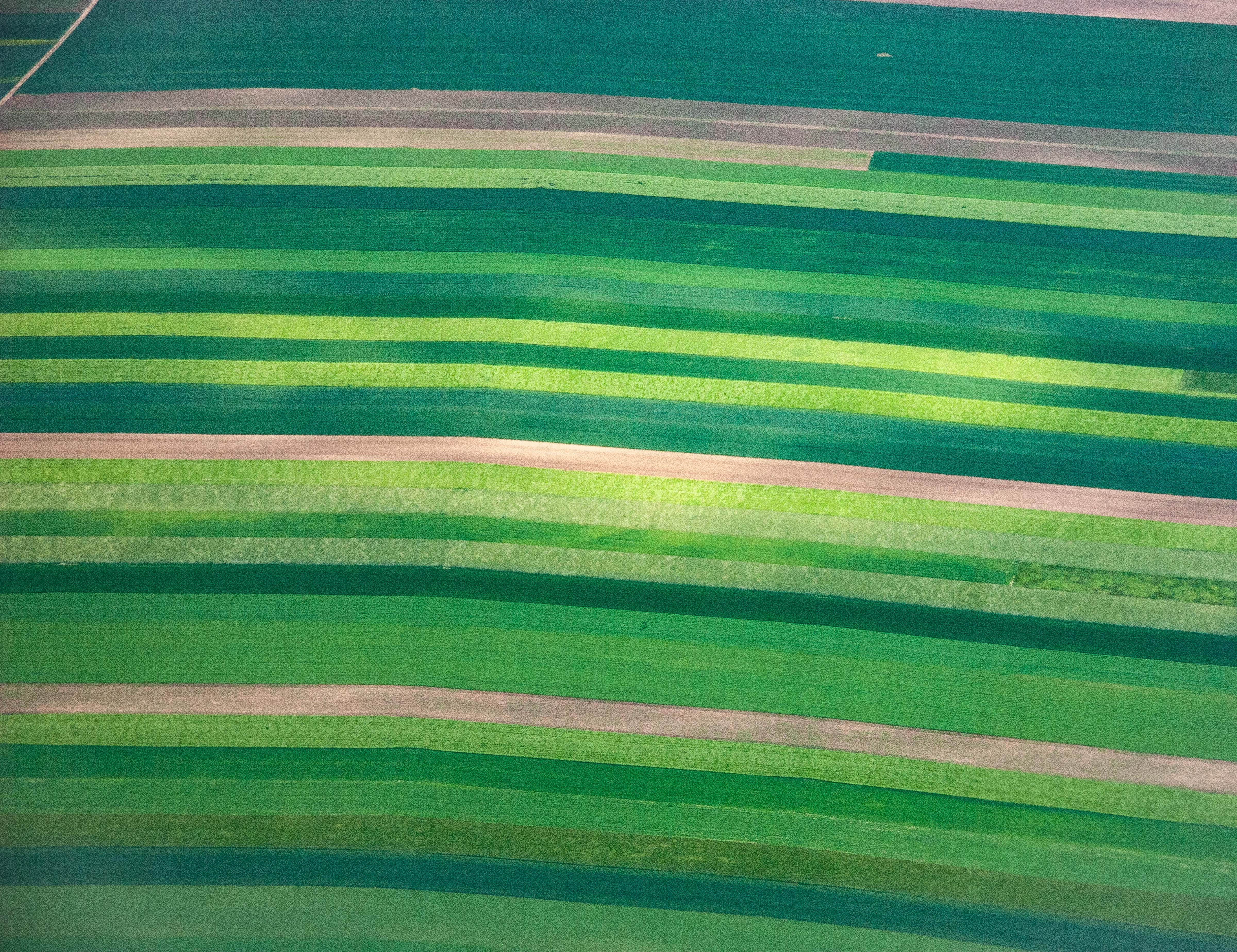 Austria, Niederosterreich Prov, Striped Fields, 2006, IMG 8793
