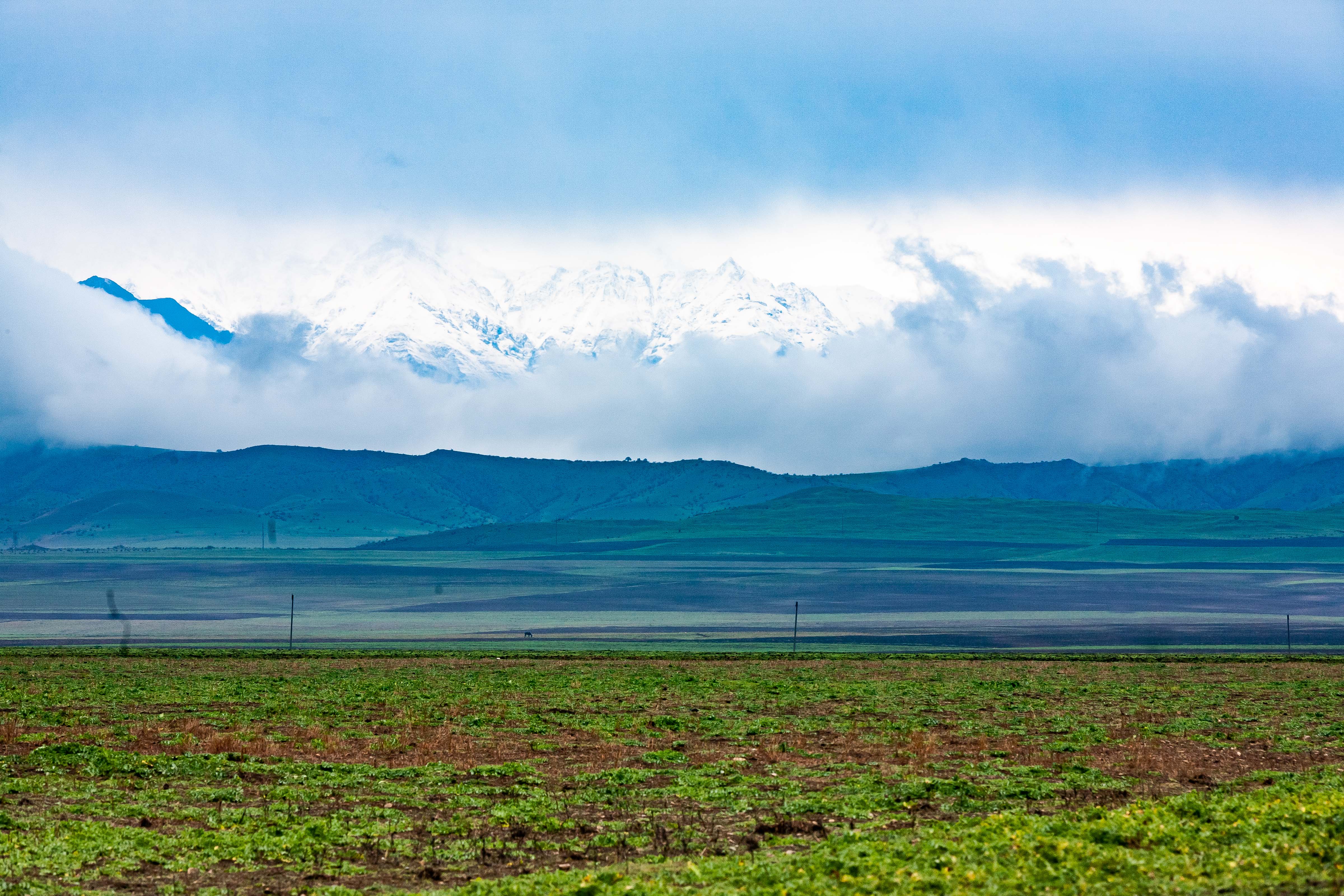 Azerbaijan, Shaki (SAK) Prov, Mountains, 2009, IMG 8503
