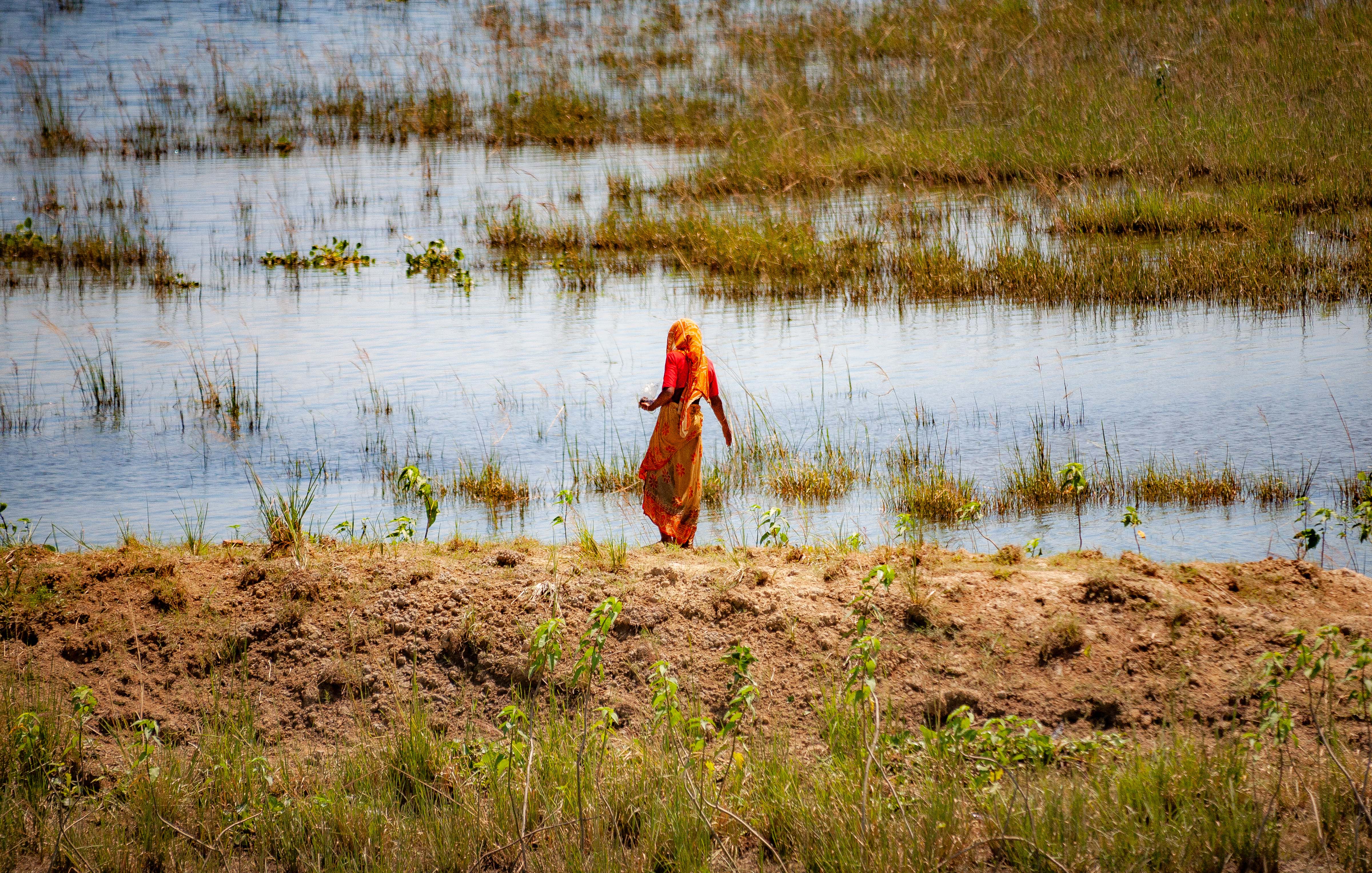 Bangladesh, Sunamganj Prov, Woman Walking, 2009, IMG 8345