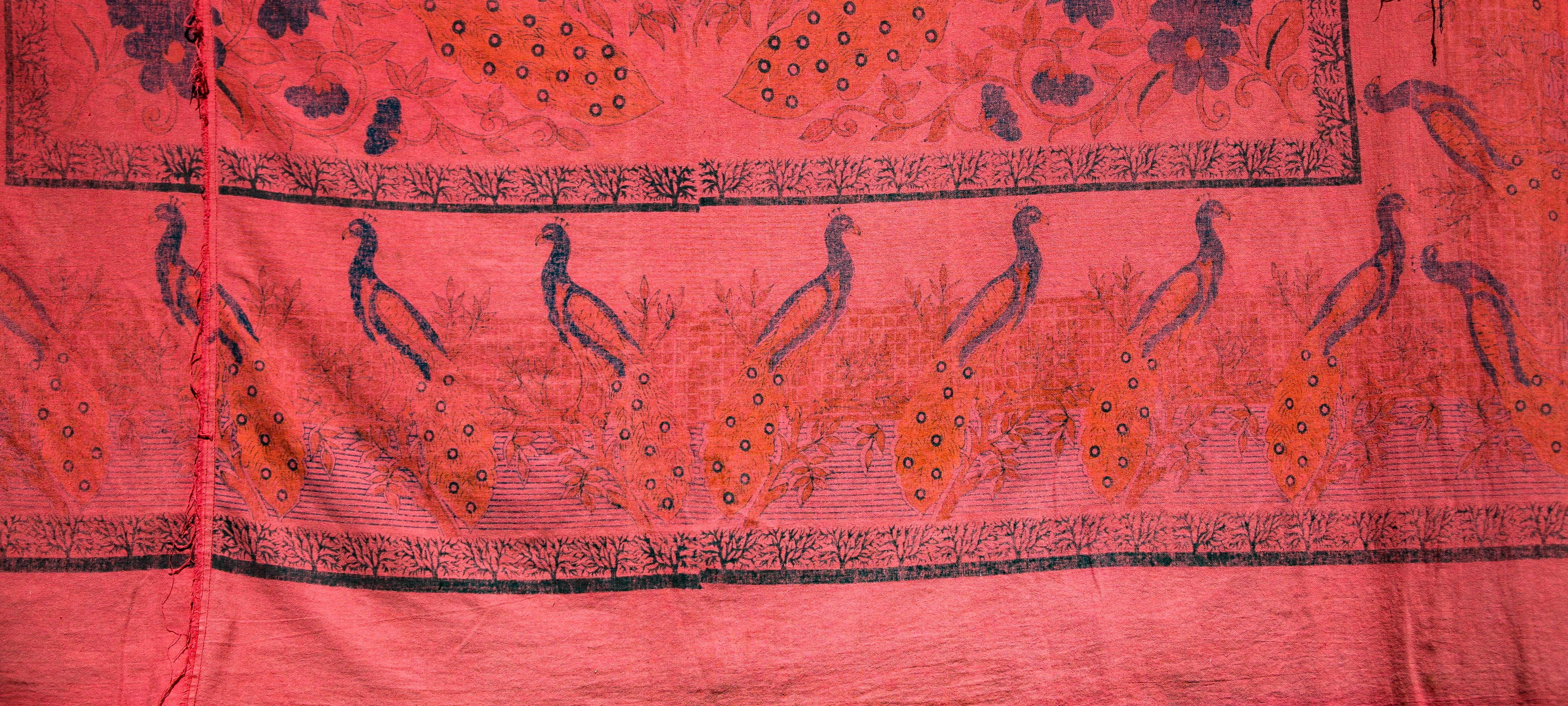 Bangladesh, Sylhet Prov, Fabric Detail, 2009, IMG 8191