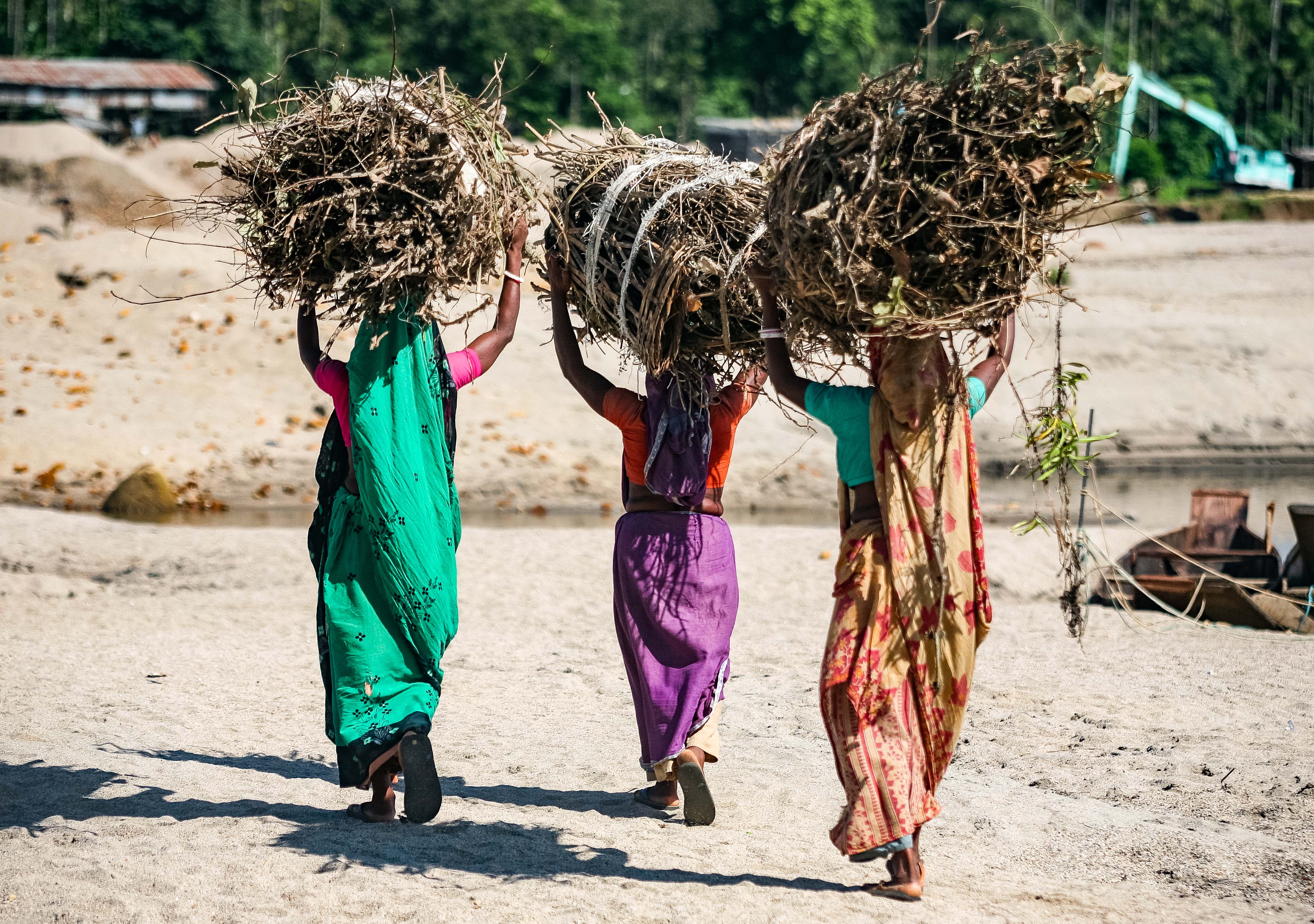 Bangladesh, Sylhet Prov, Women Carry Firewood, 2009, IMG 8172
