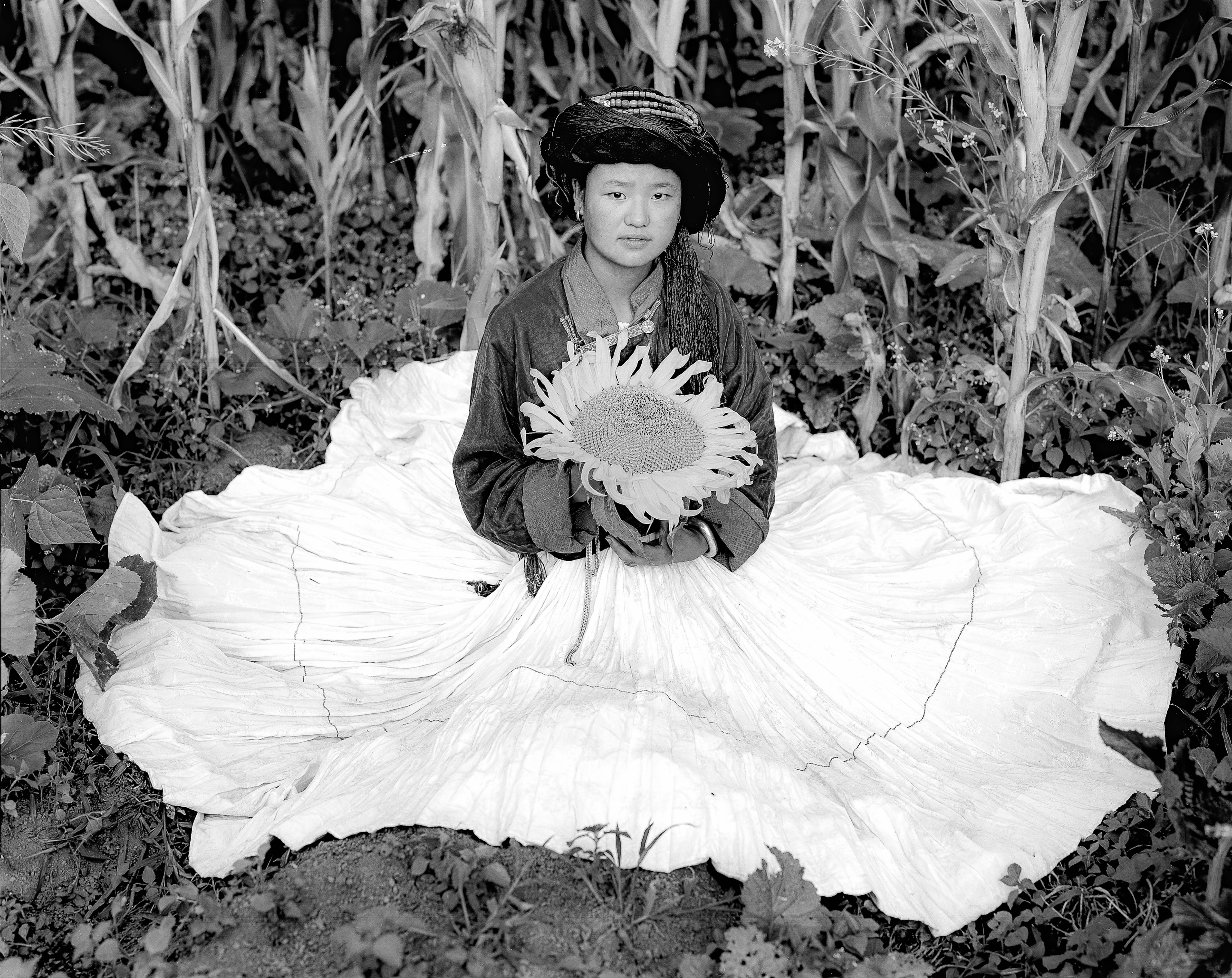 China, Yunnan, Er Che Du Ma With Sunflower, 1994