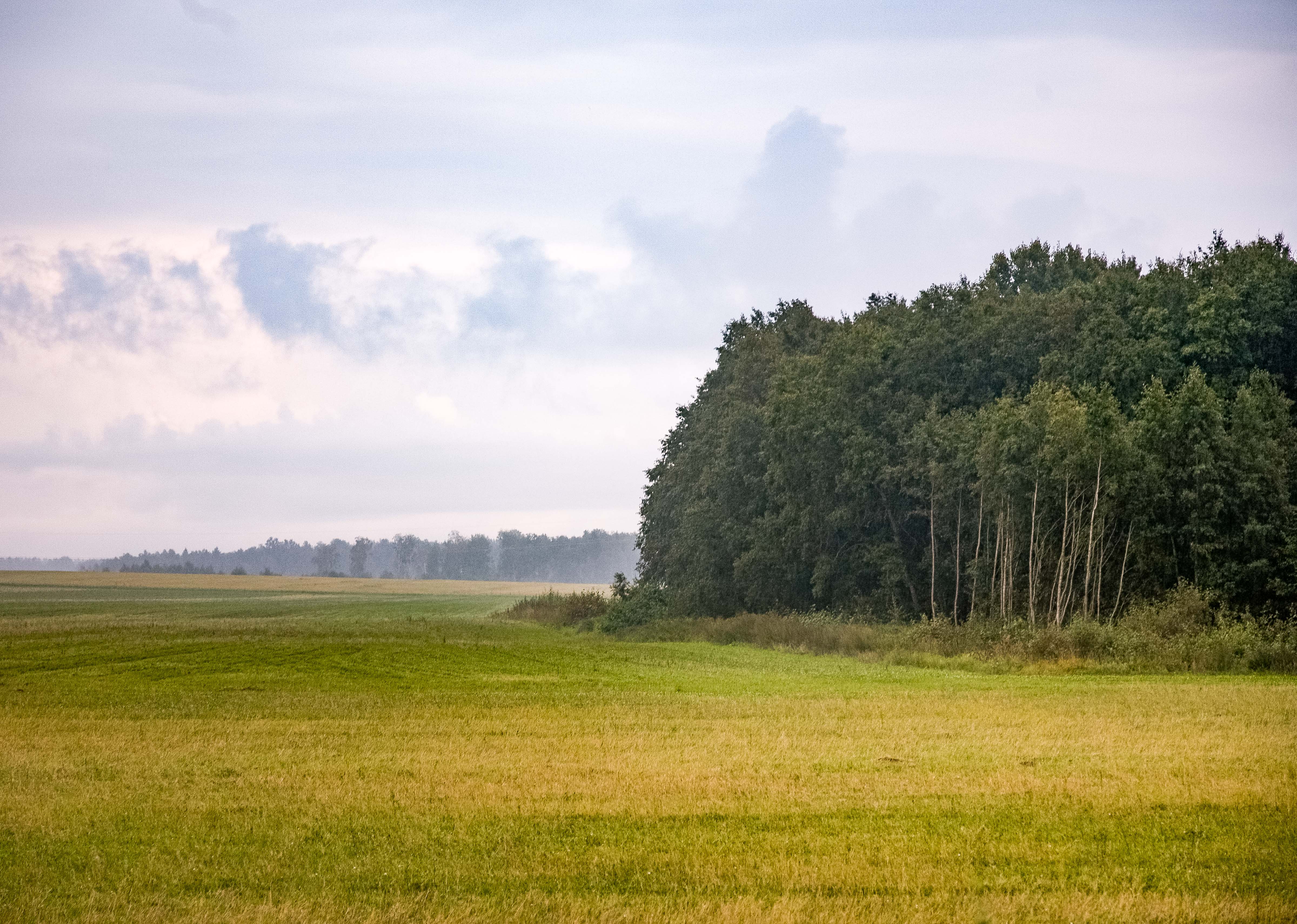 Estonia, Jarvamaa Prov, Landscape, 2010, IMG_1317